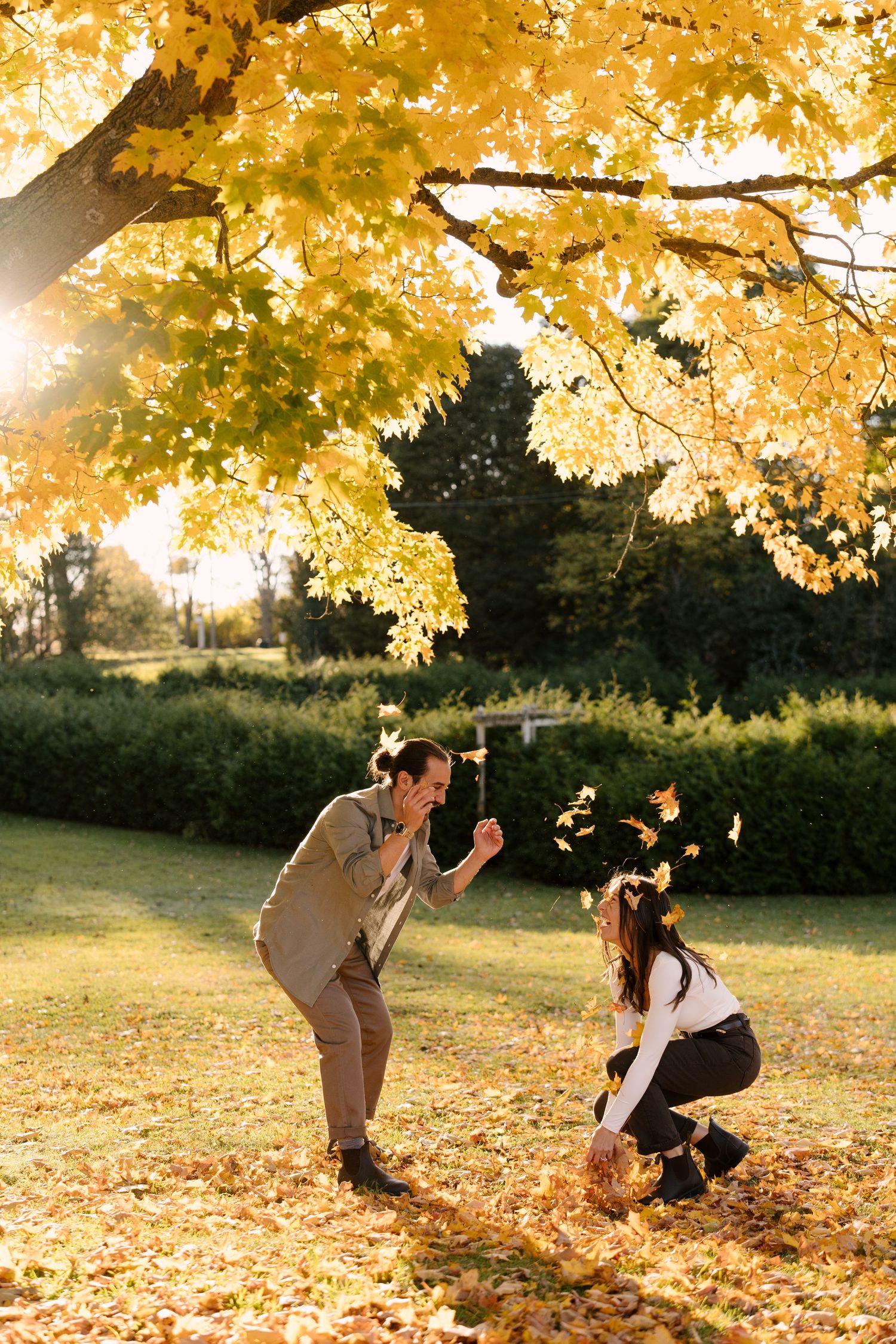 Couple playfully tossing autumn leaves under a golden yellow maple tree in a sunny park.