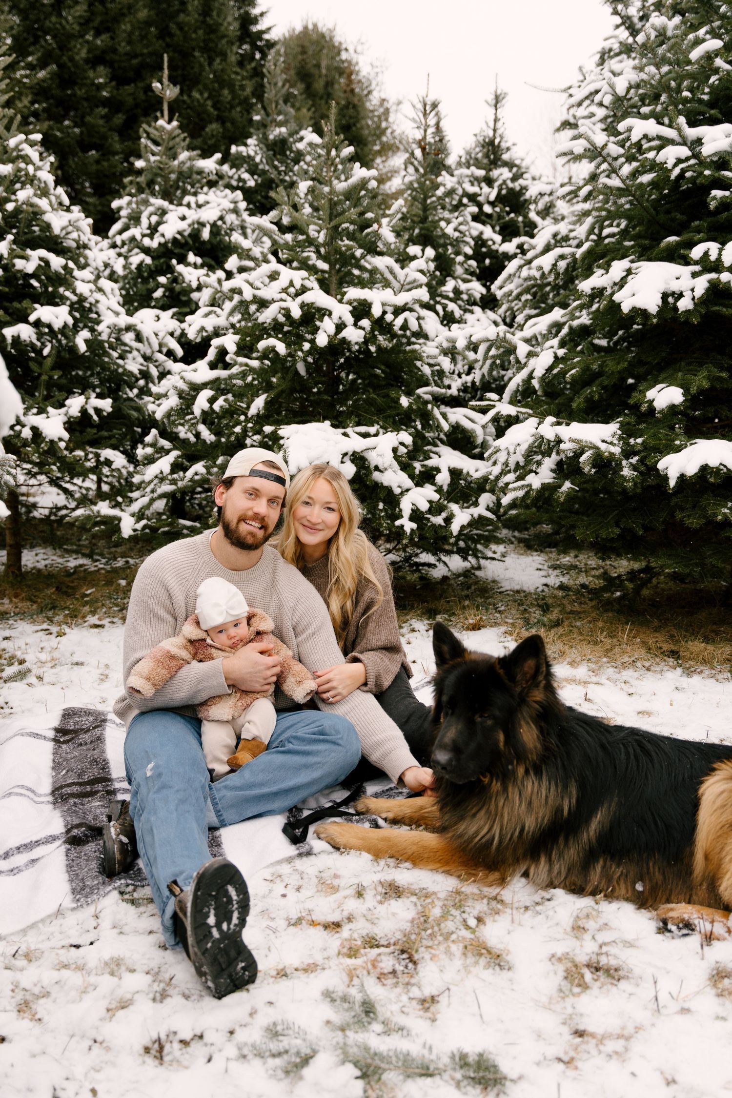 Family sitting in snow with German Shepherd dog in front of snow-covered Christmas trees.