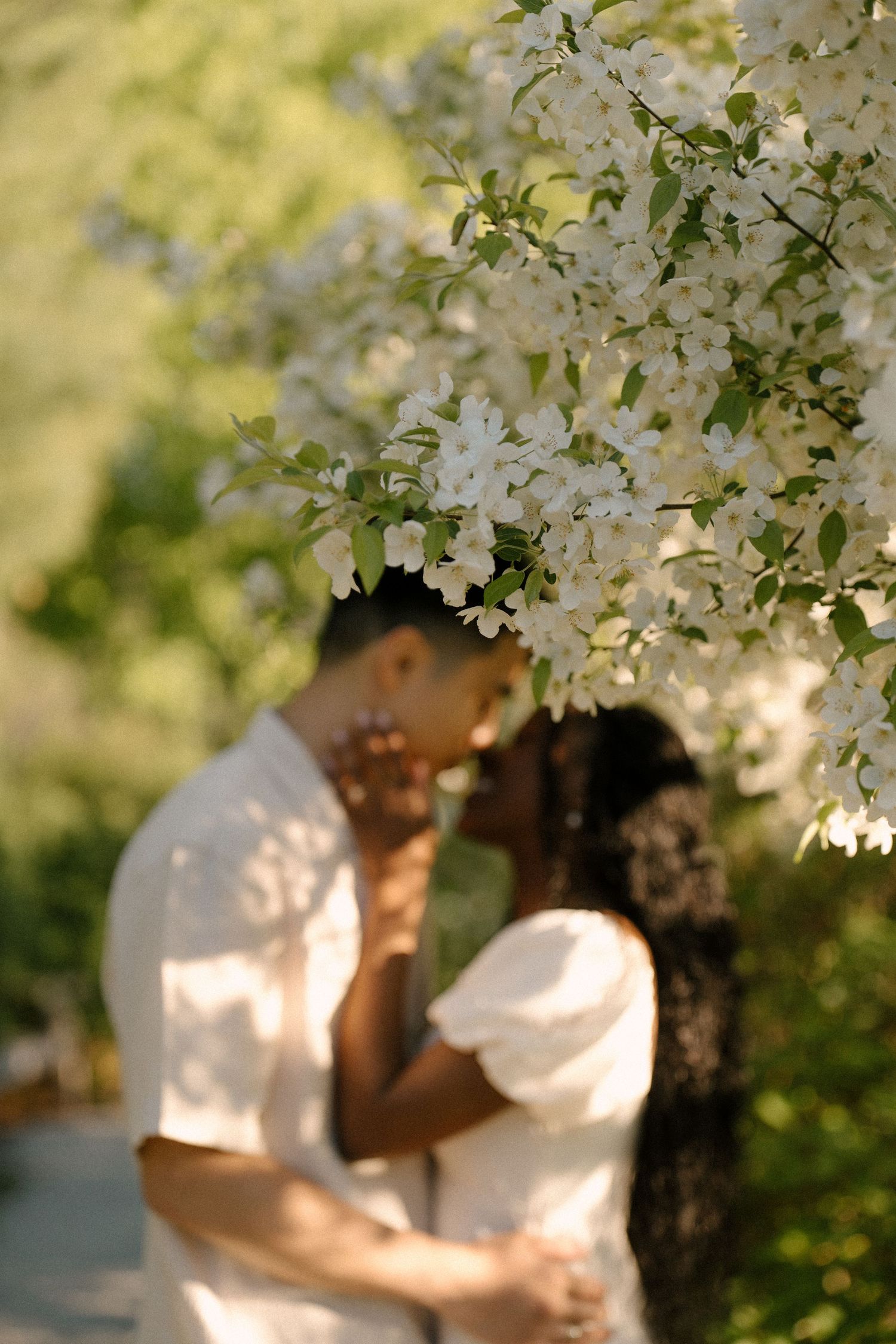 Romantic couple kissing beneath white flowering tree branches in a softly blurred garden setting.