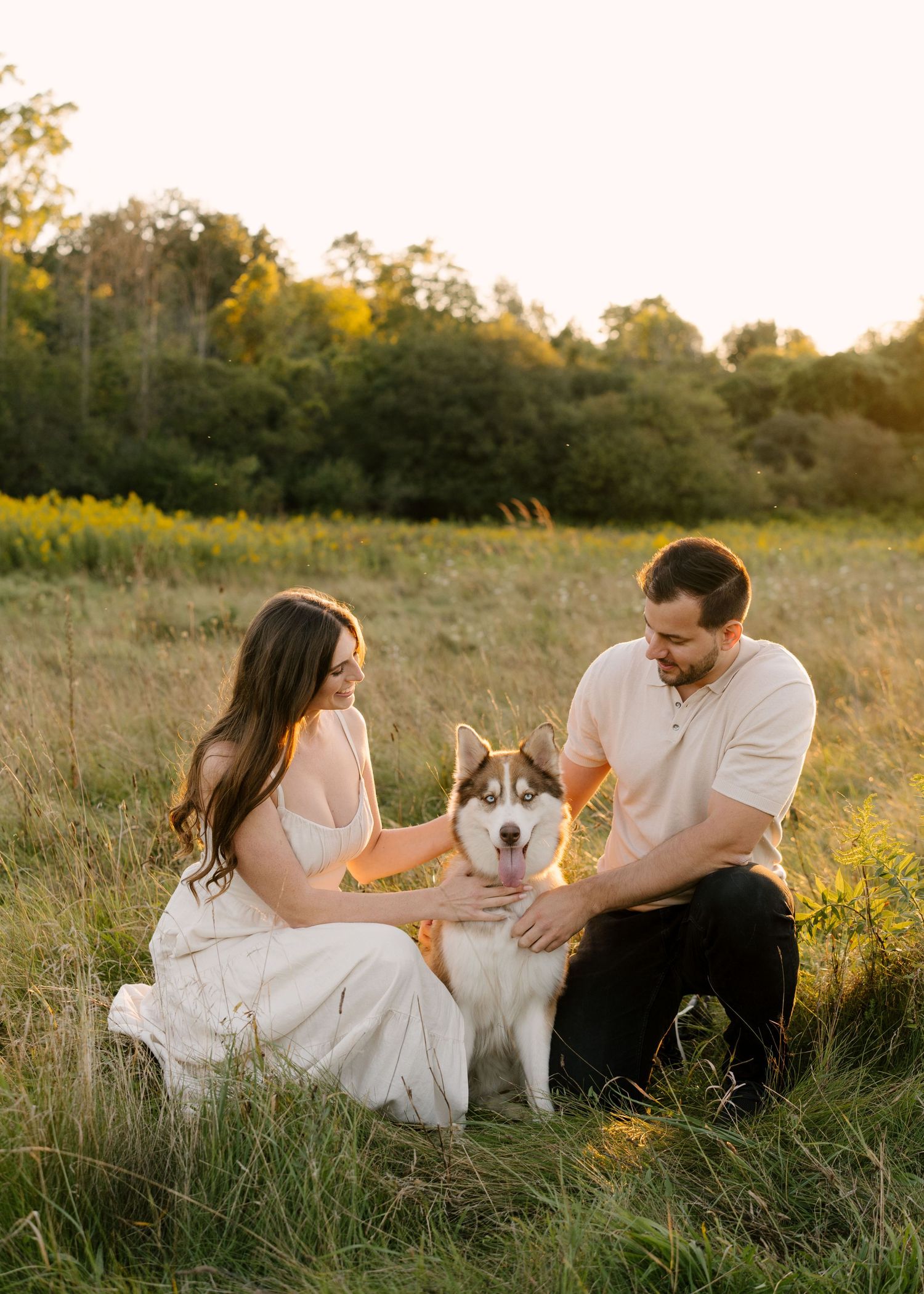 Couple sitting in golden field with Husky dog at sunset.