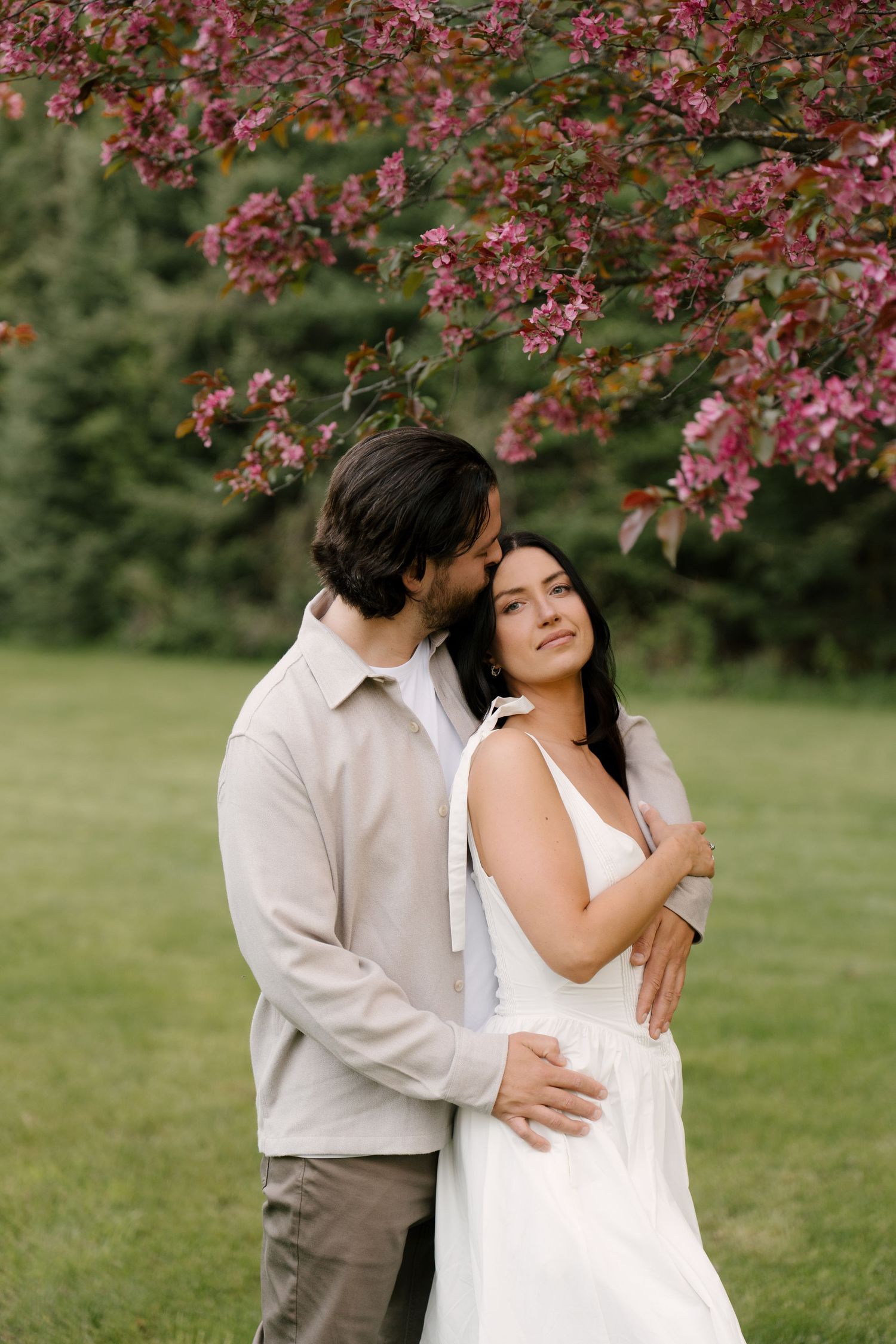 Groom kissing bride on cheek while embracing under vibrant pink blossoming tree outdoors.