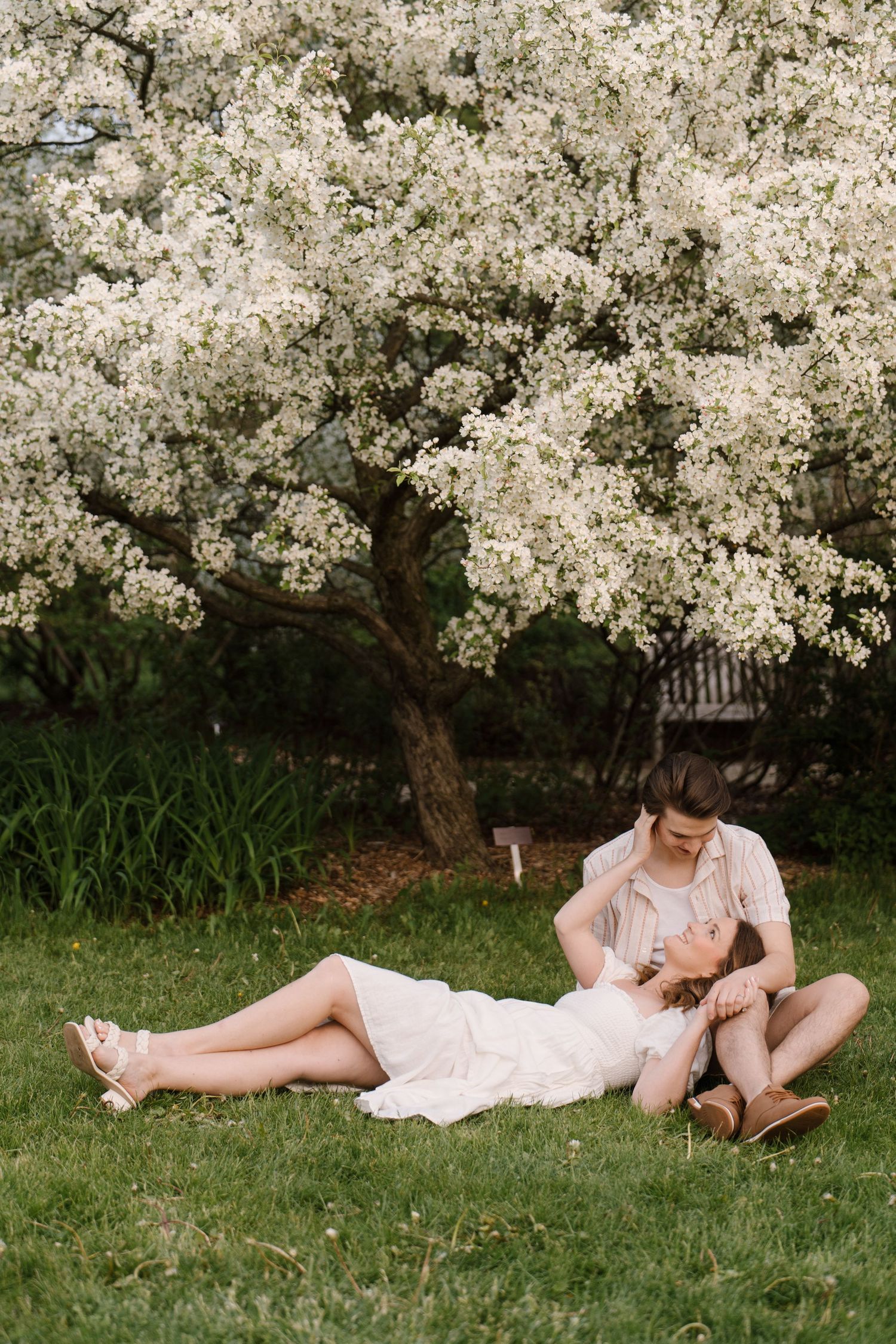 Romantic couple relaxing on green grass beneath a stunning white flowering tree in a serene garden setting.