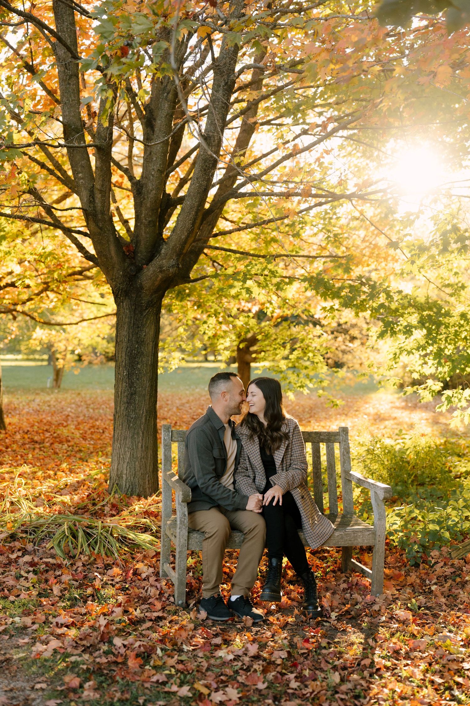 Couple sitting close on wooden bench under glowing golden maple tree in autumn sunlight.