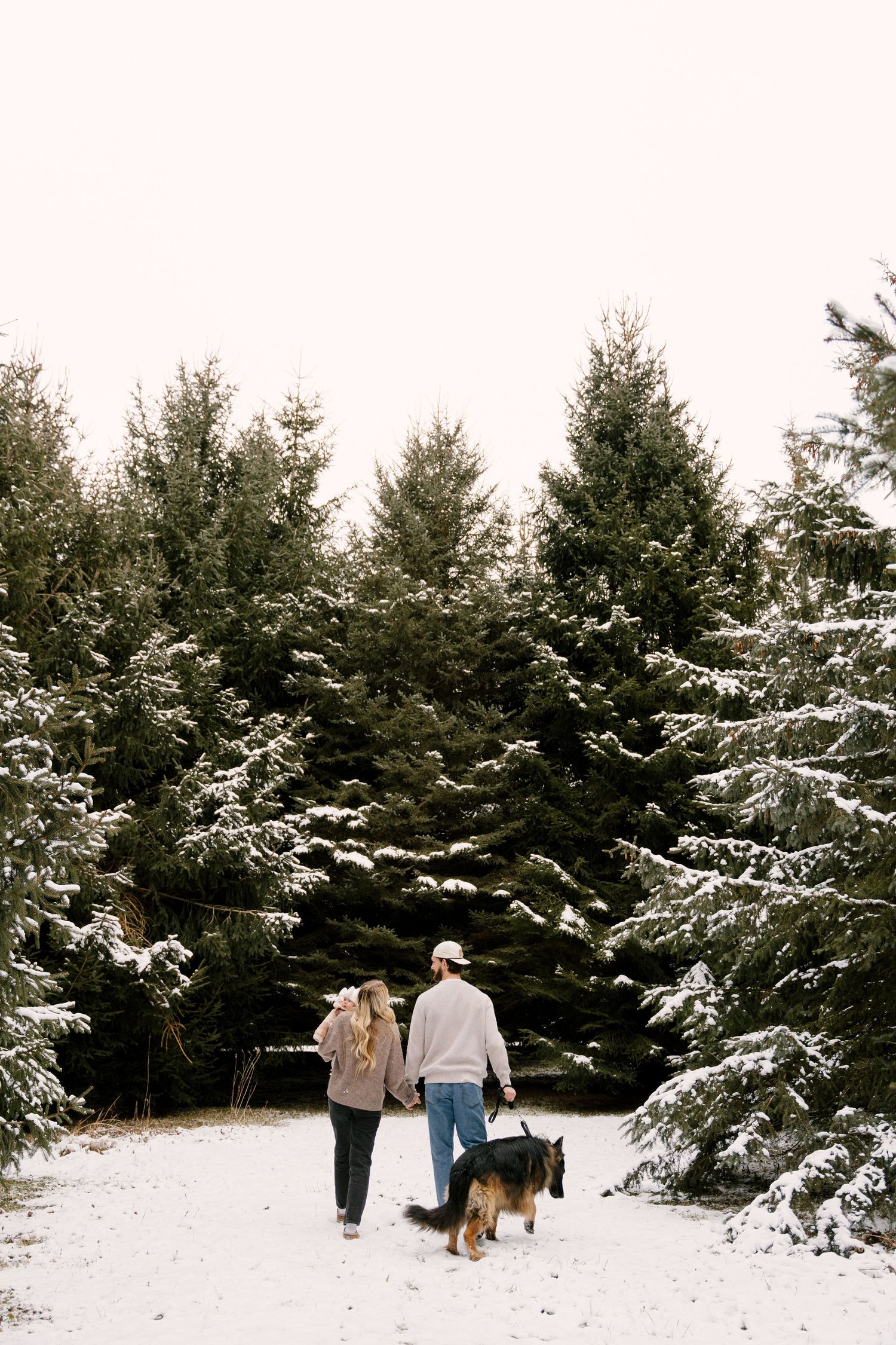 Couple holding hands walking toward snow-covered evergreen trees with German Shepherd dog in winter forest.