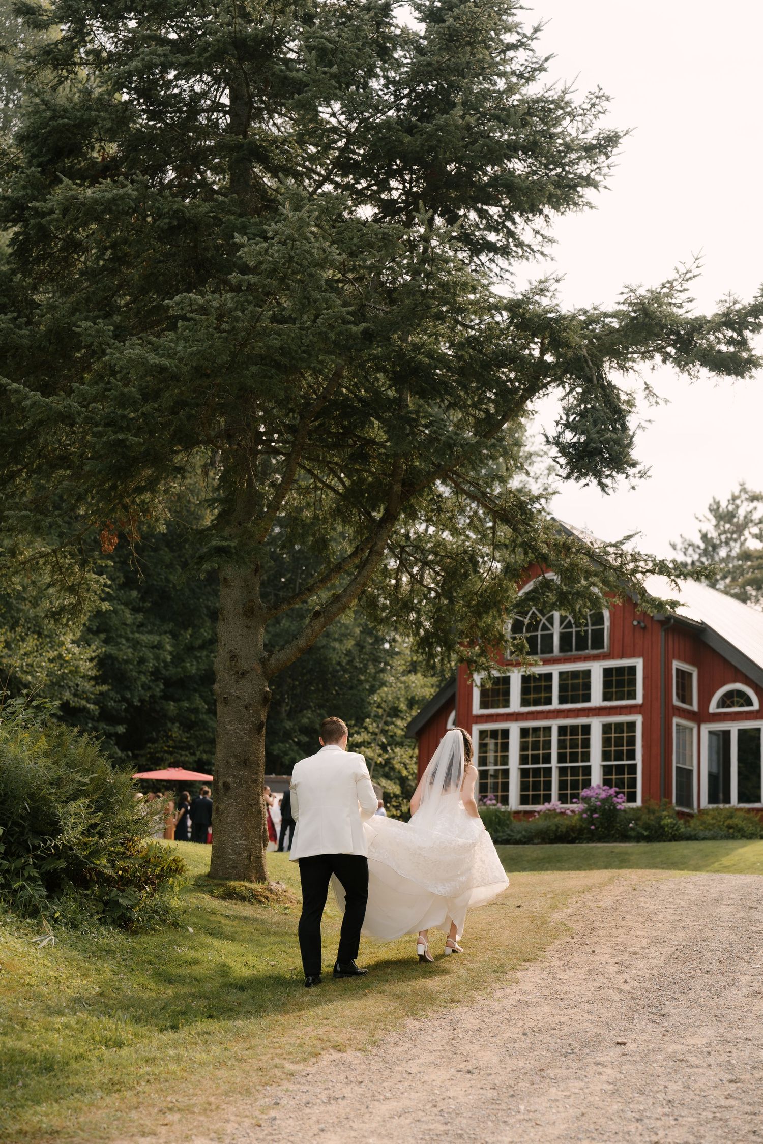 Newlyweds walk hand in hand toward a charming red barn wedding venue beneath a large evergreen tree.