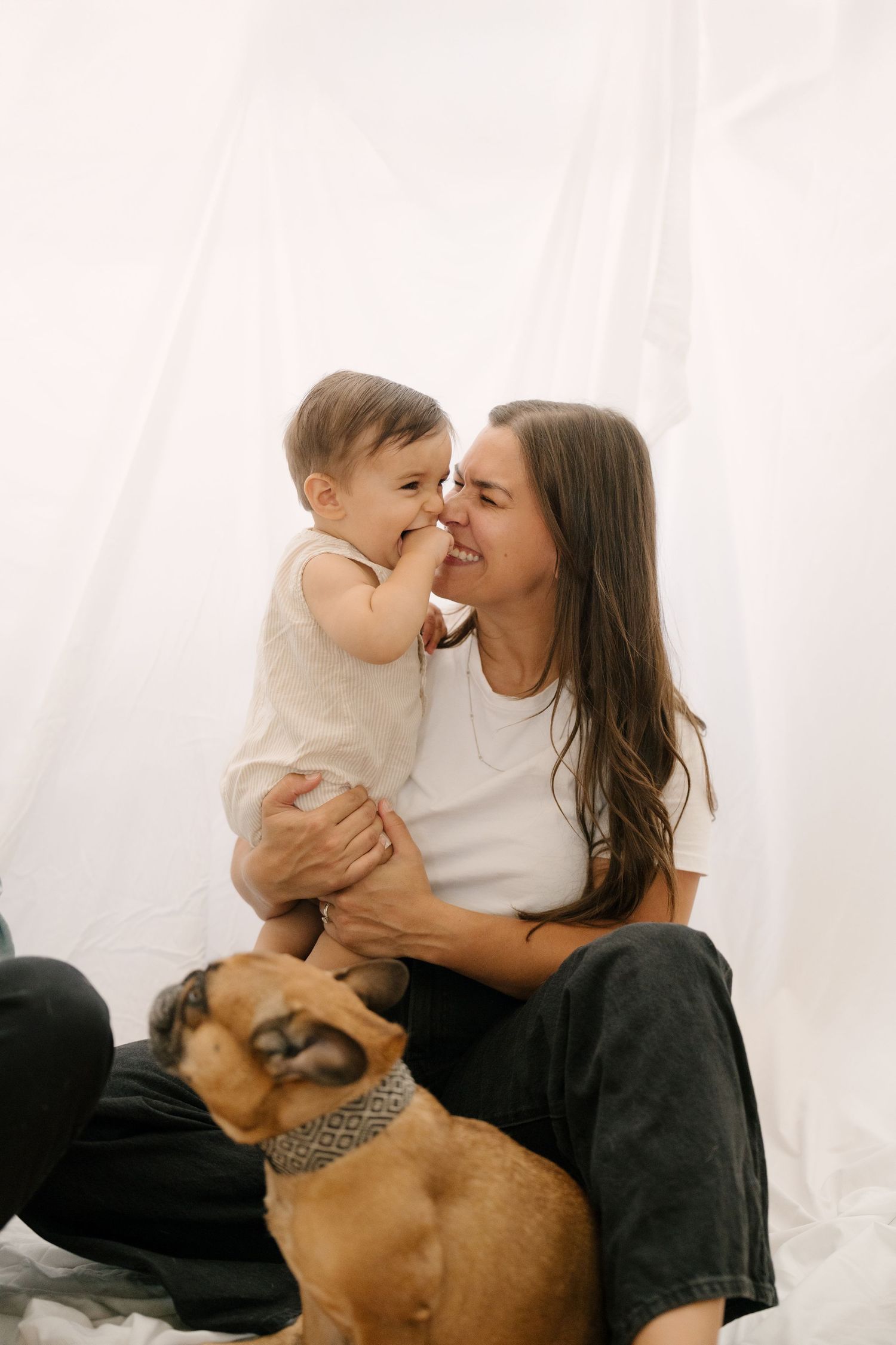 Loving mother nuzzles her giggling baby while their French Bulldog sits nearby on a white backdrop.