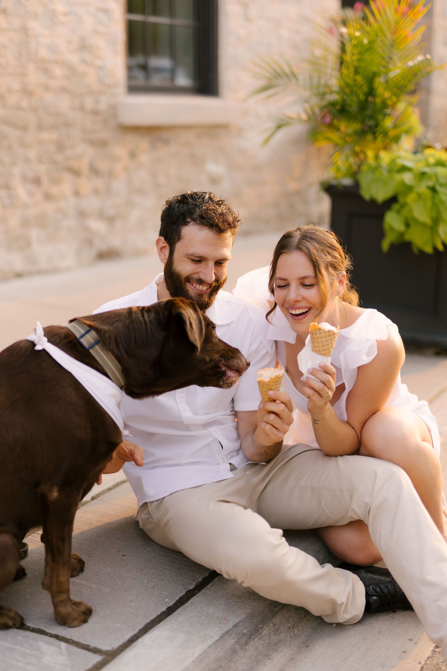 Smiling couple sitting outdoors with a chocolate Labrador dog and ice cream cones.