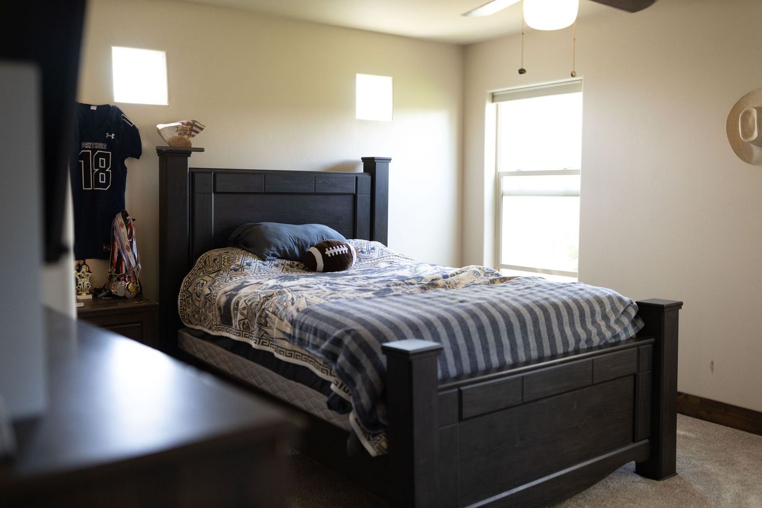Spacious modern bedroom with dark wood furniture, striped bedding, and natural light streaming through windows.