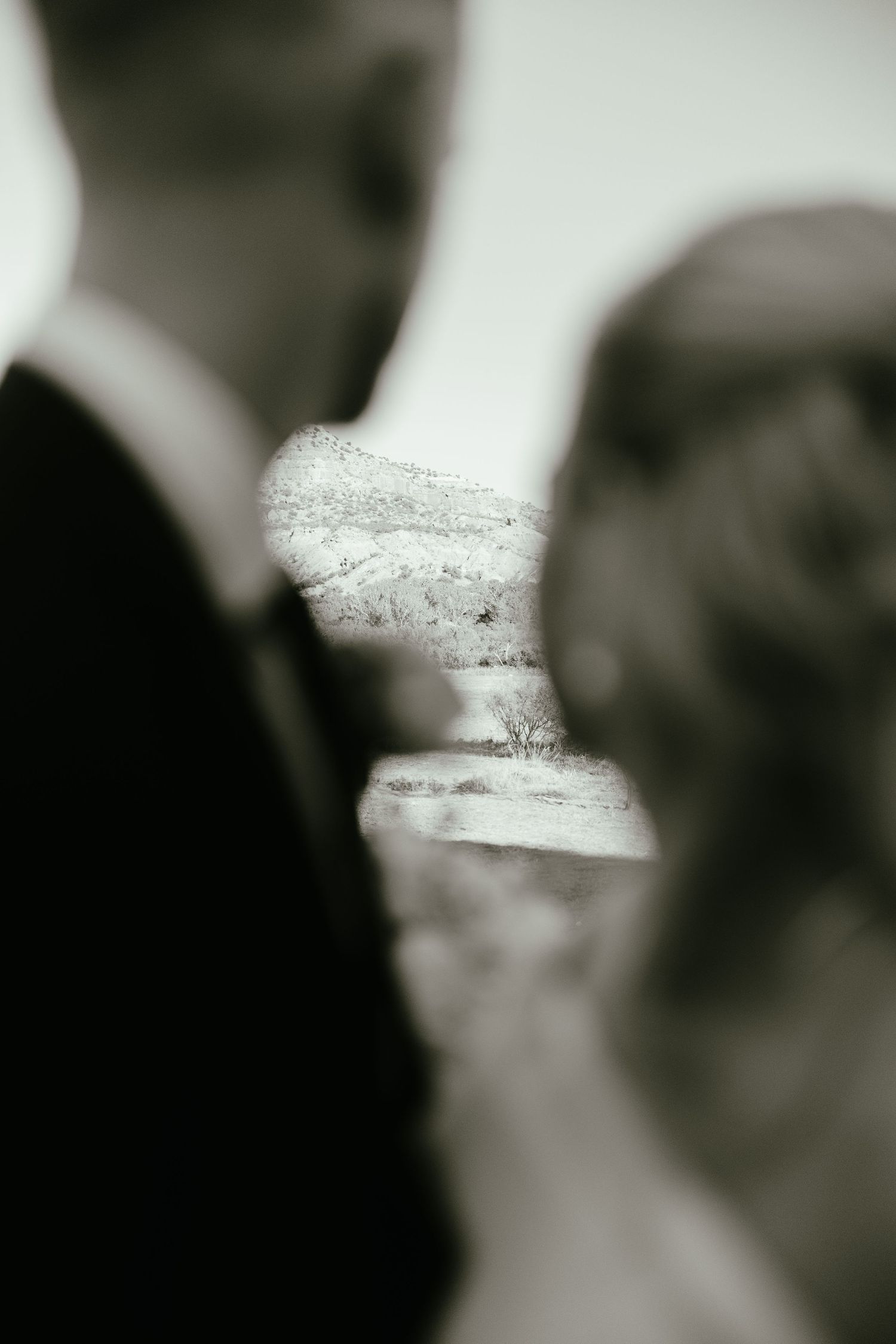Artistic black and white portrait of couple's intimate wedding moment.