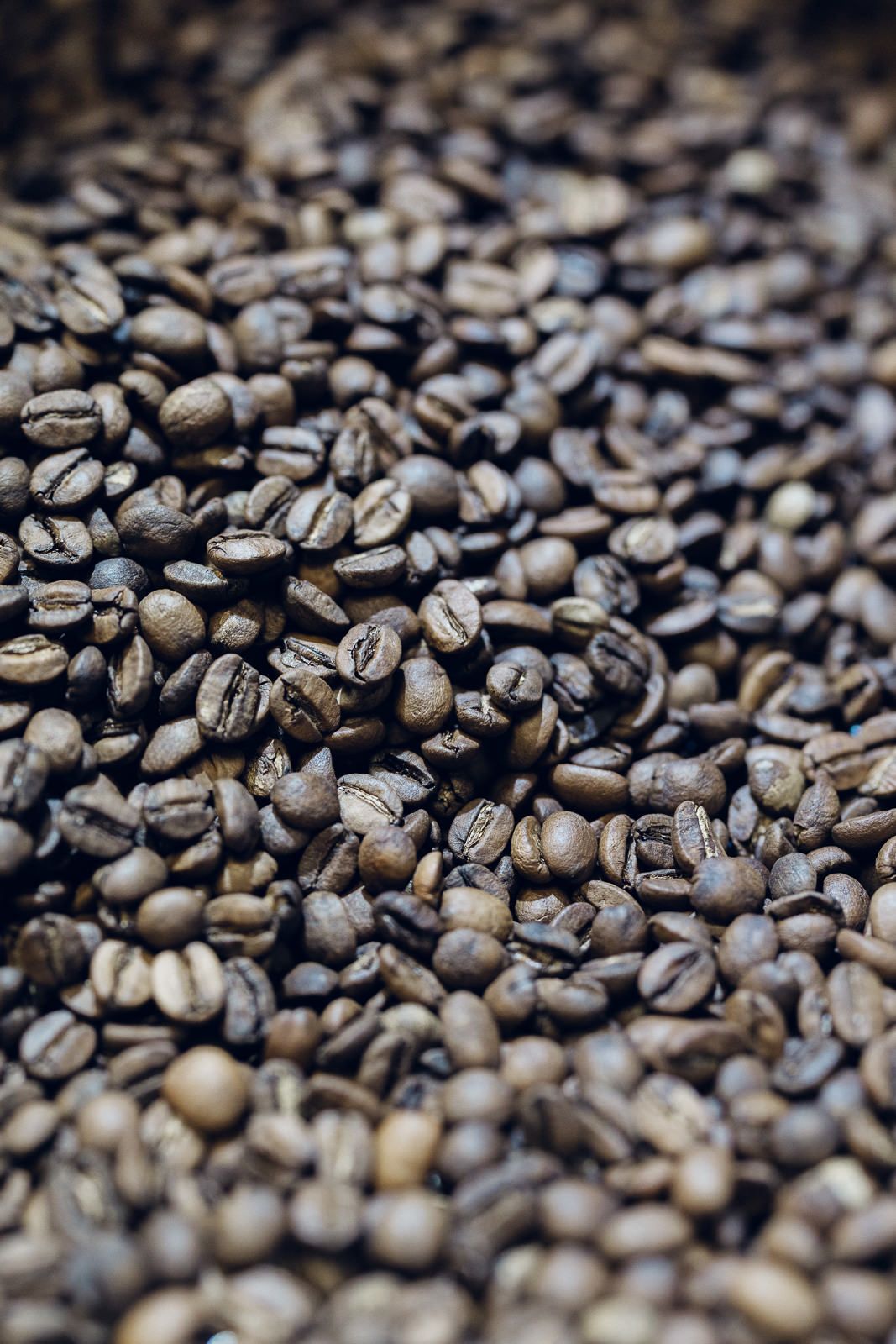 Grains de café en torréfaction artisanale - photographie d'artisan dans le Perche en Normandie