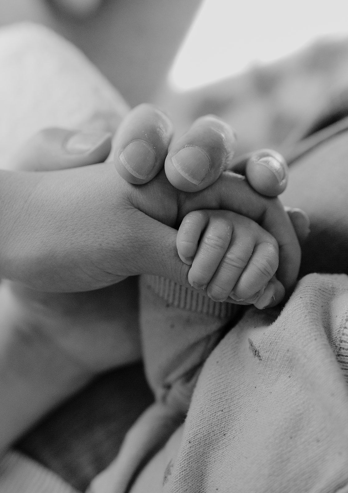 Detailed black and white image of parents hands holding newborn baby's hand during in-home newborn photoshoot