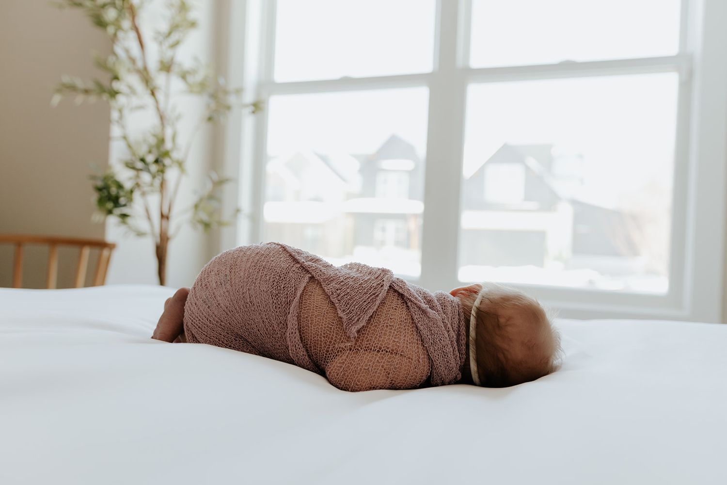 In-home newborn photoshoot in Springfield, Missouri
