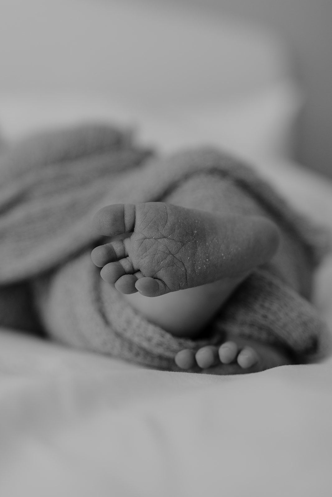 Black and White newborn feet detail shot