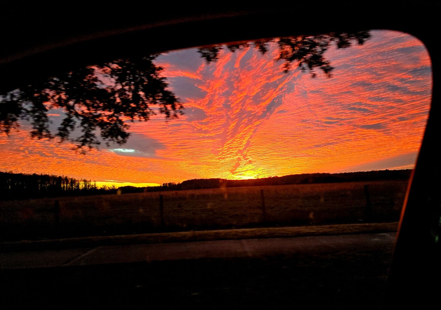 Dramatic orange and red sunset sky with silhouetted trees creating a panoramic landscape view.
