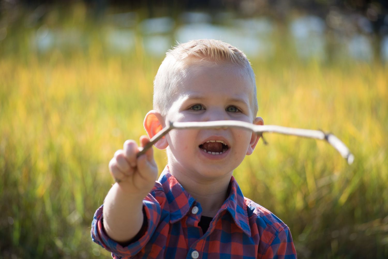 Playful outdoor portrait in a golden field with a stick being held up.