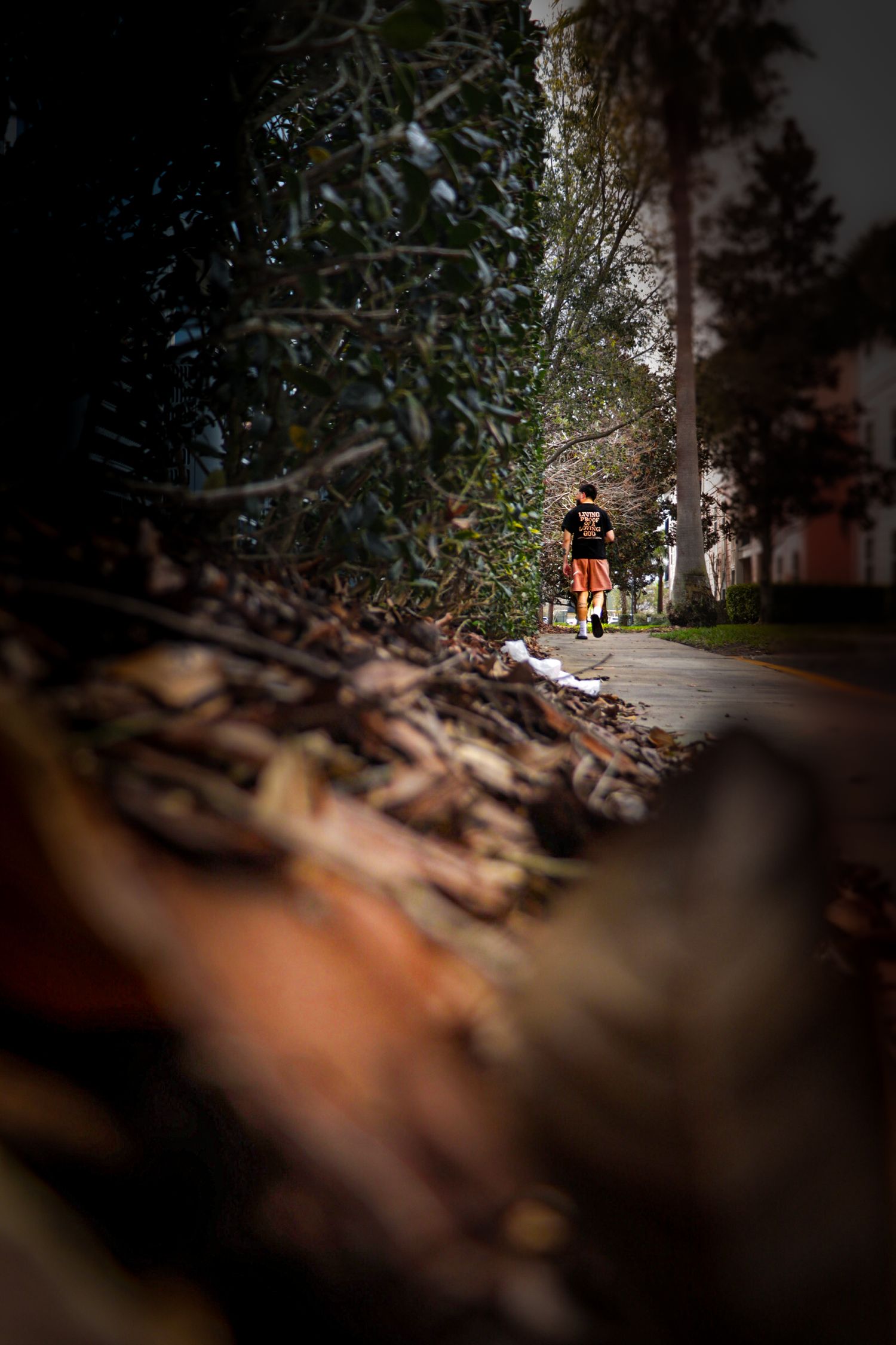 Person in orange shorts walking on a sunlit path surrounded by fallen branches and lush green trees.