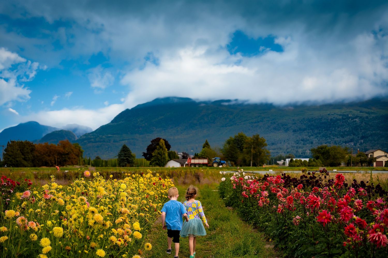 Tulip festival