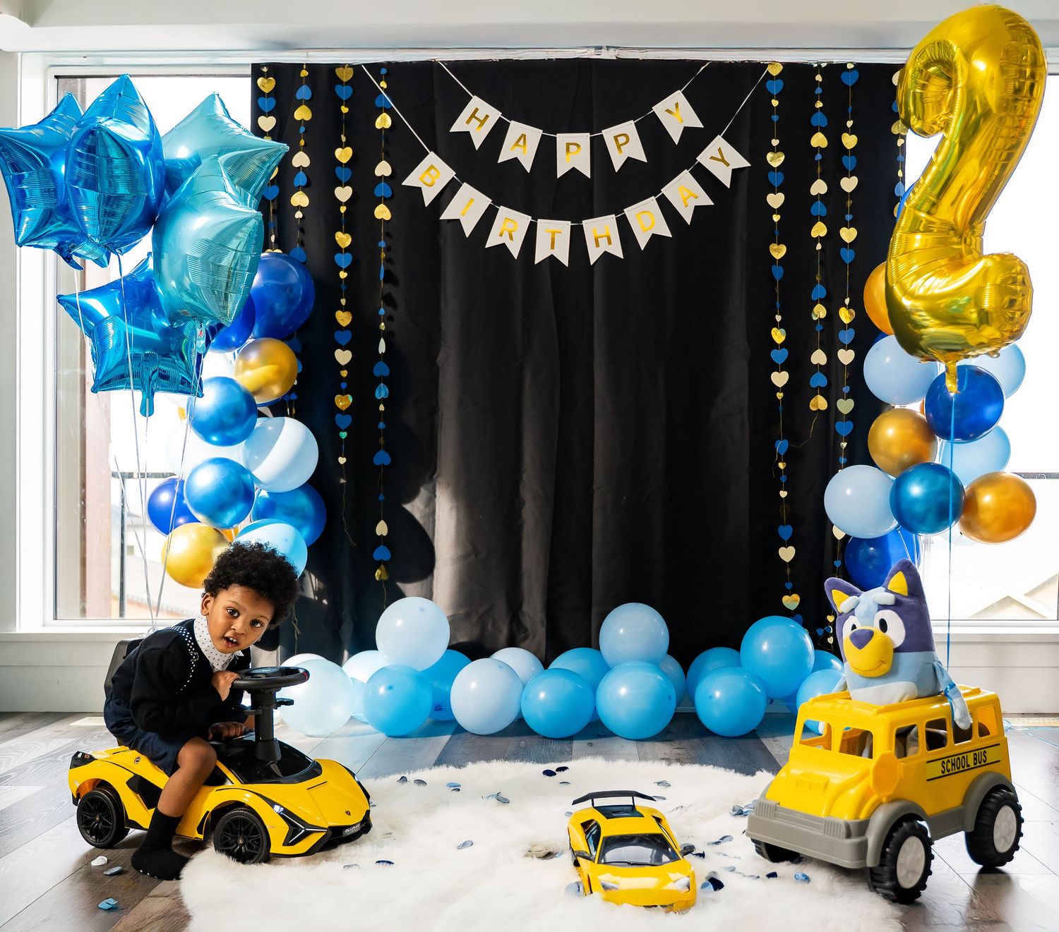 In home 2 year old party photos
