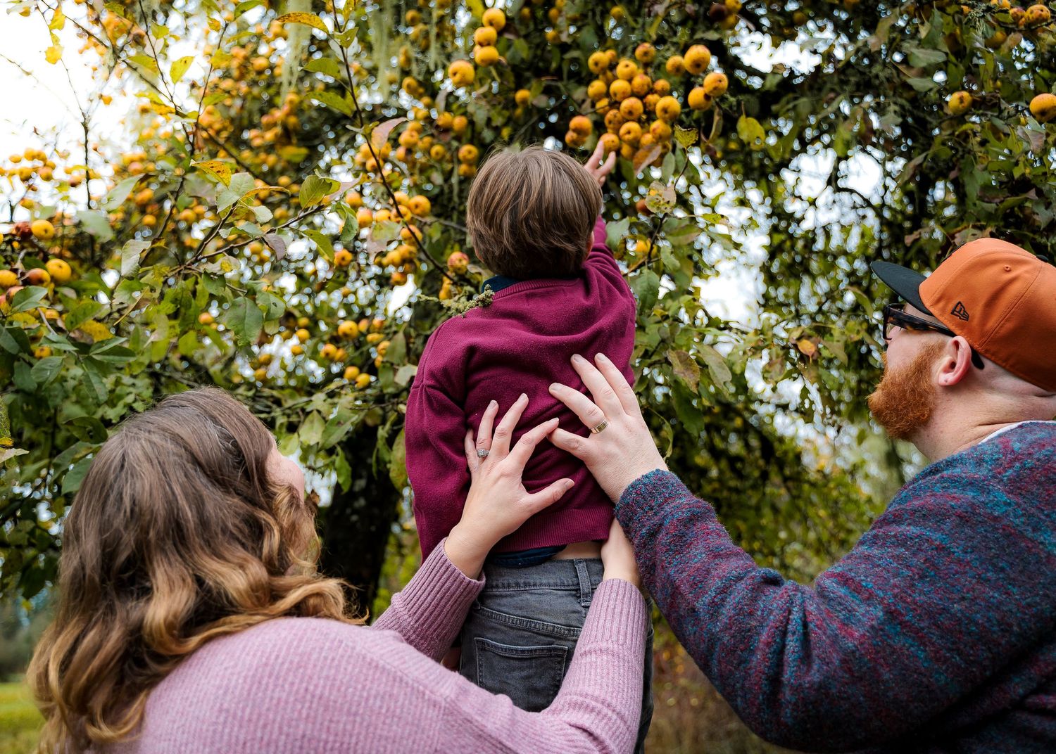 Farm orchard family