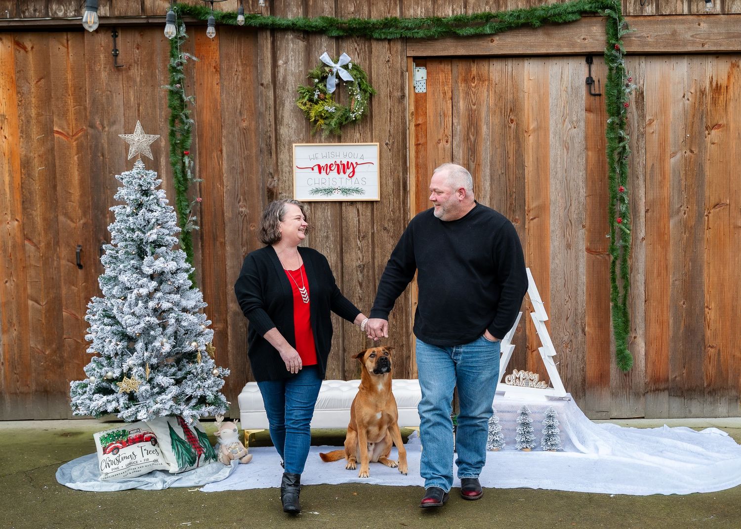 Farm mini Christmas session