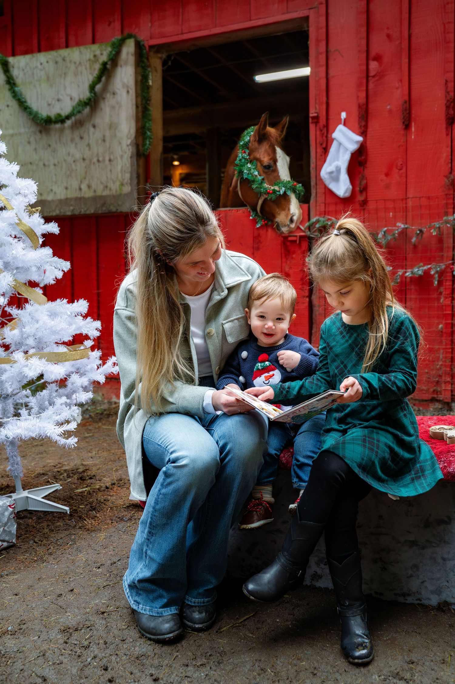 Farm Christmas mini session