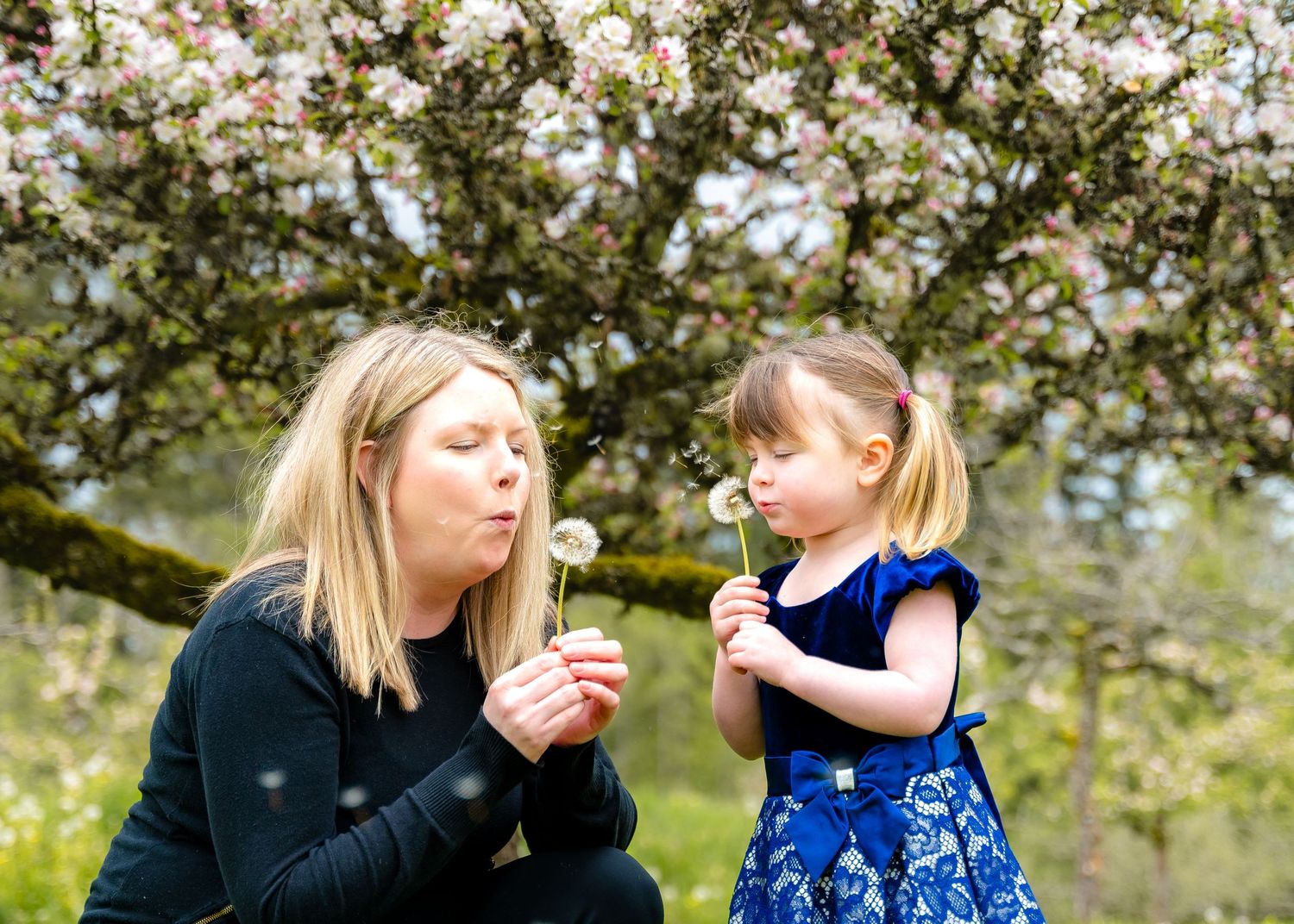Spring at Merridale