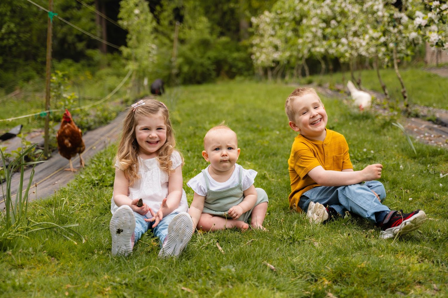 Spring farm mini sessions