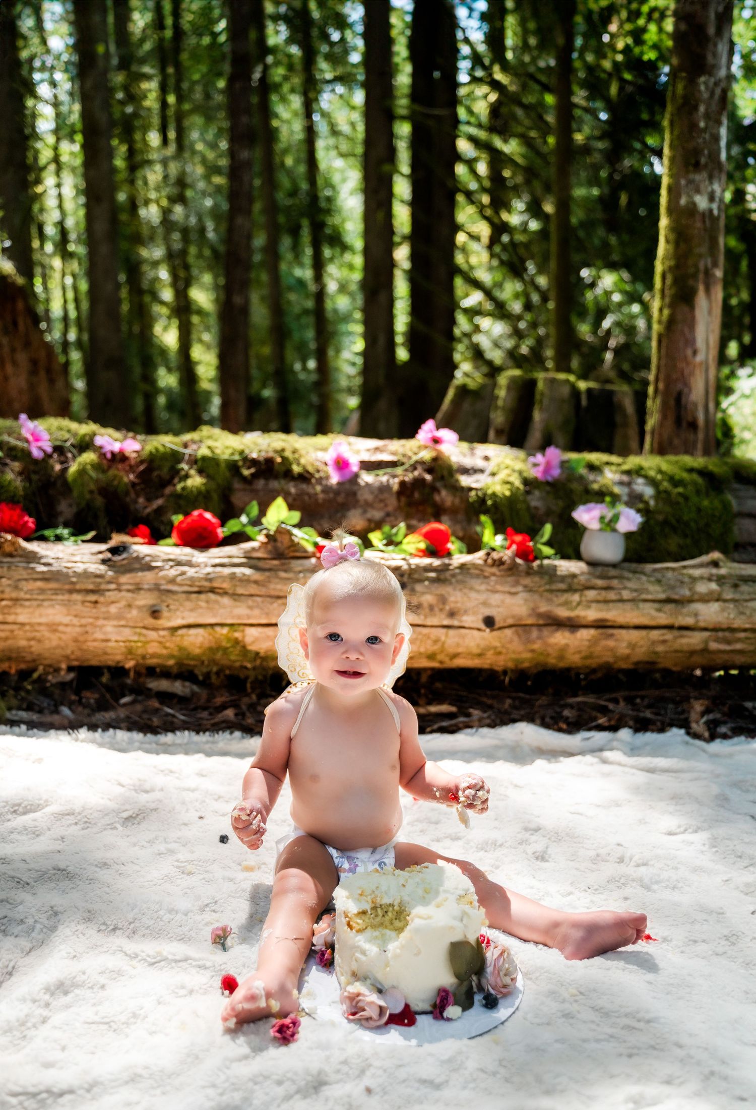 Fairy first birthday milestone