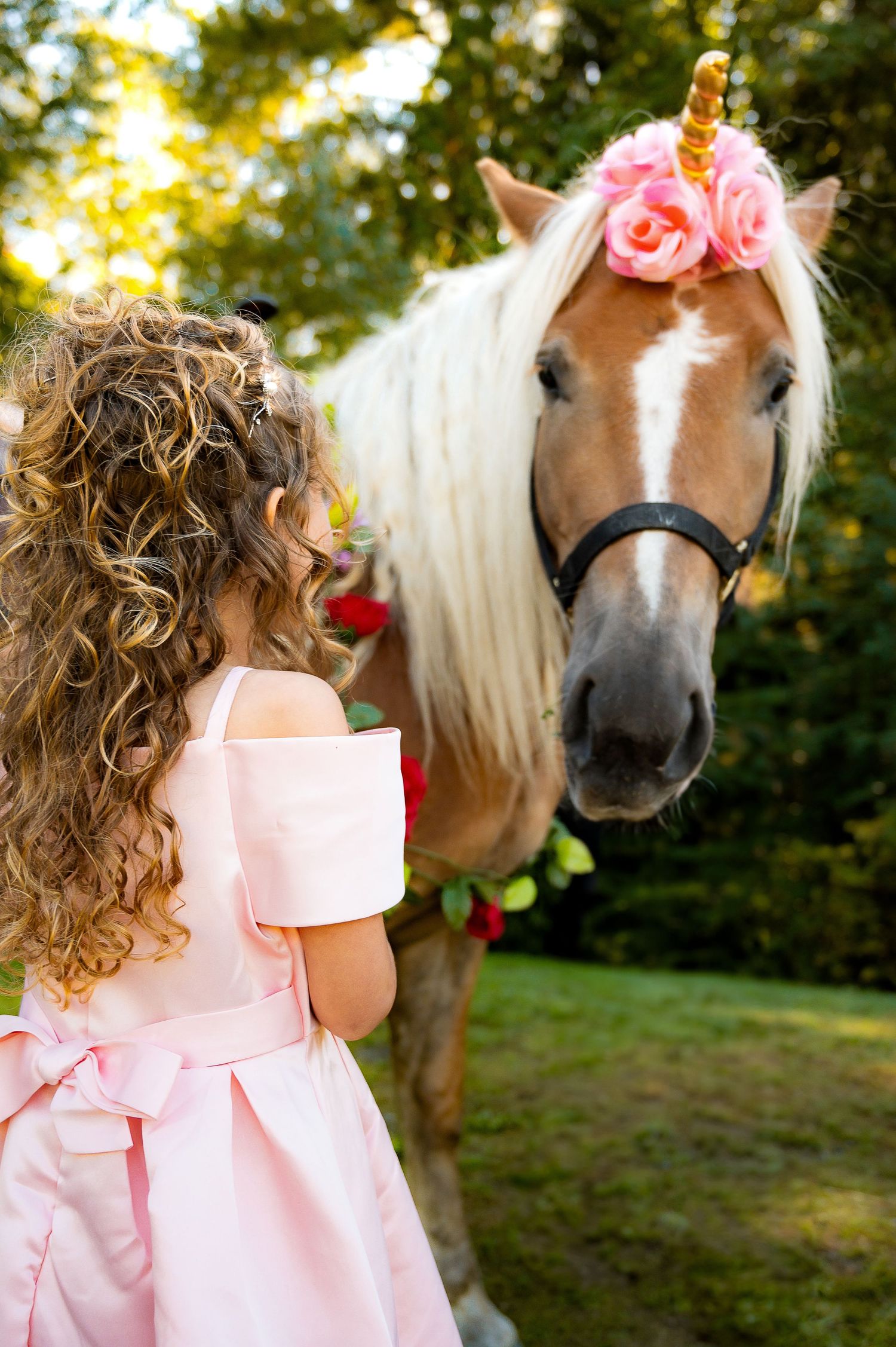 Unicorn mini sessions