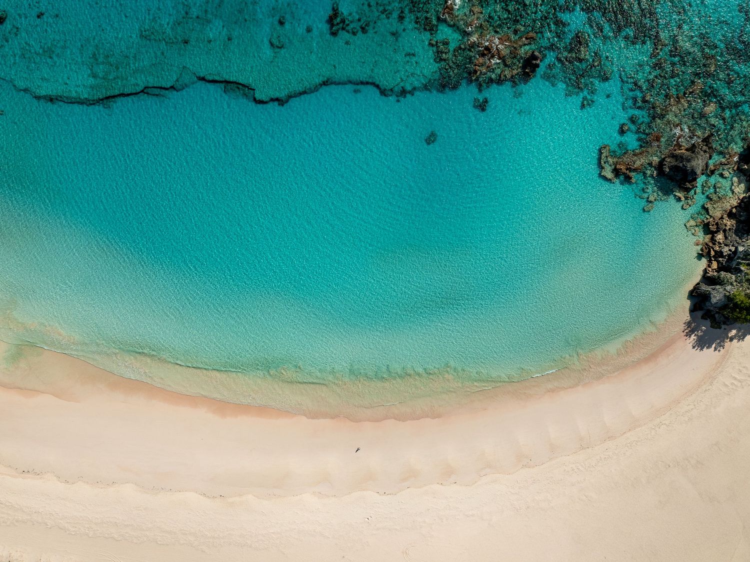 Aerial view of pristine turquoise waters meeting white sandy beach along tropical coastline. Drone photogrpahy.