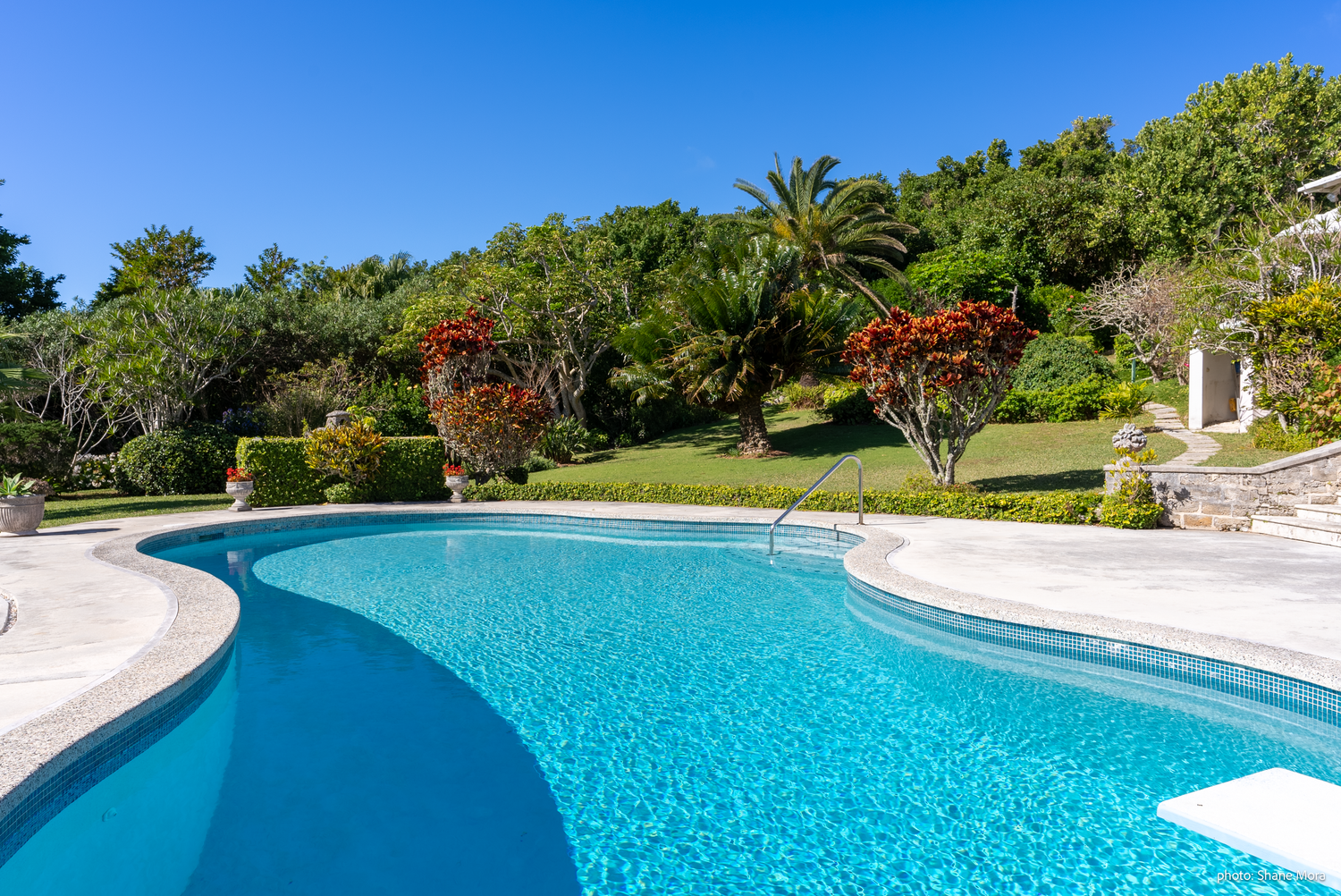 Elegant swimming pool with curved edges surrounded by lush tropical gardens and white architecture.