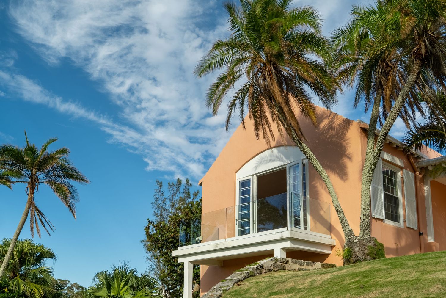 Aerial view of coastal homes with palm trees and blue sky overlooking the ocean.