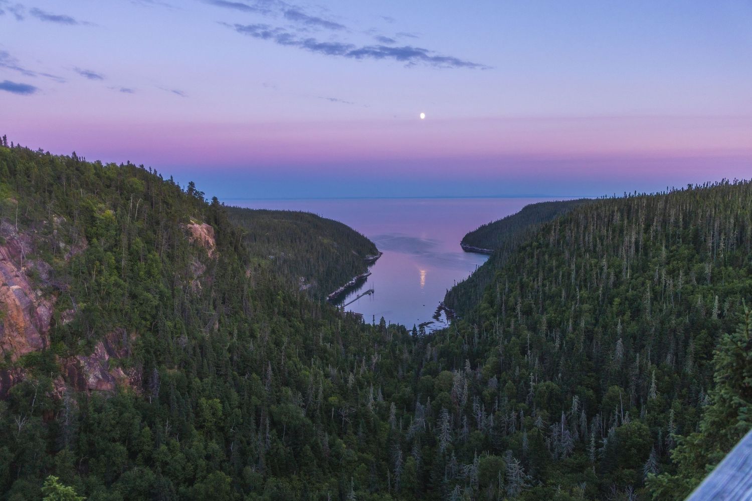 Coastal mountain landscape with dense forest and pink twilight sky.