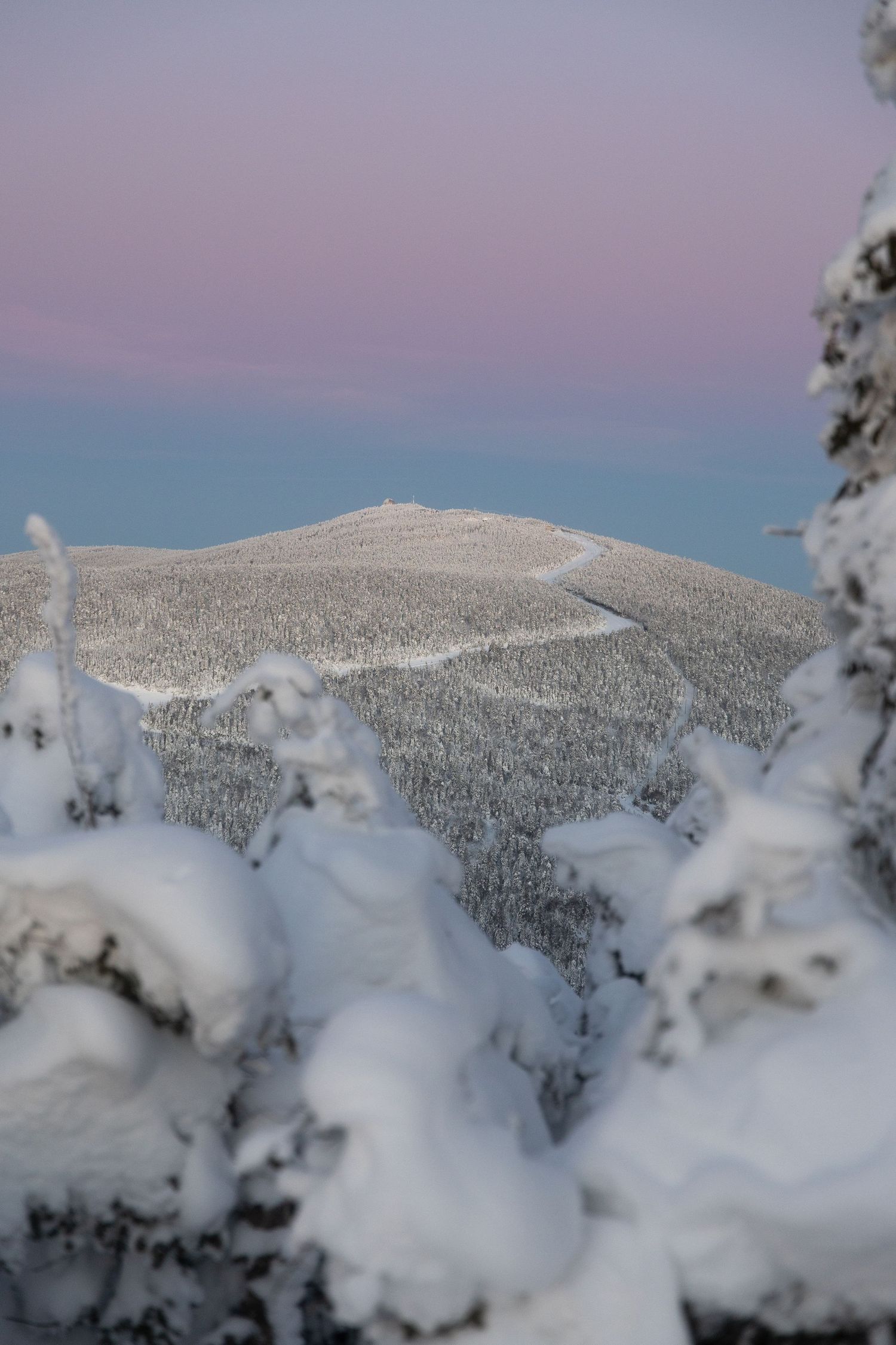 Heavy snow blankets mountain slopes and trees under a pink-tinged winter sky.