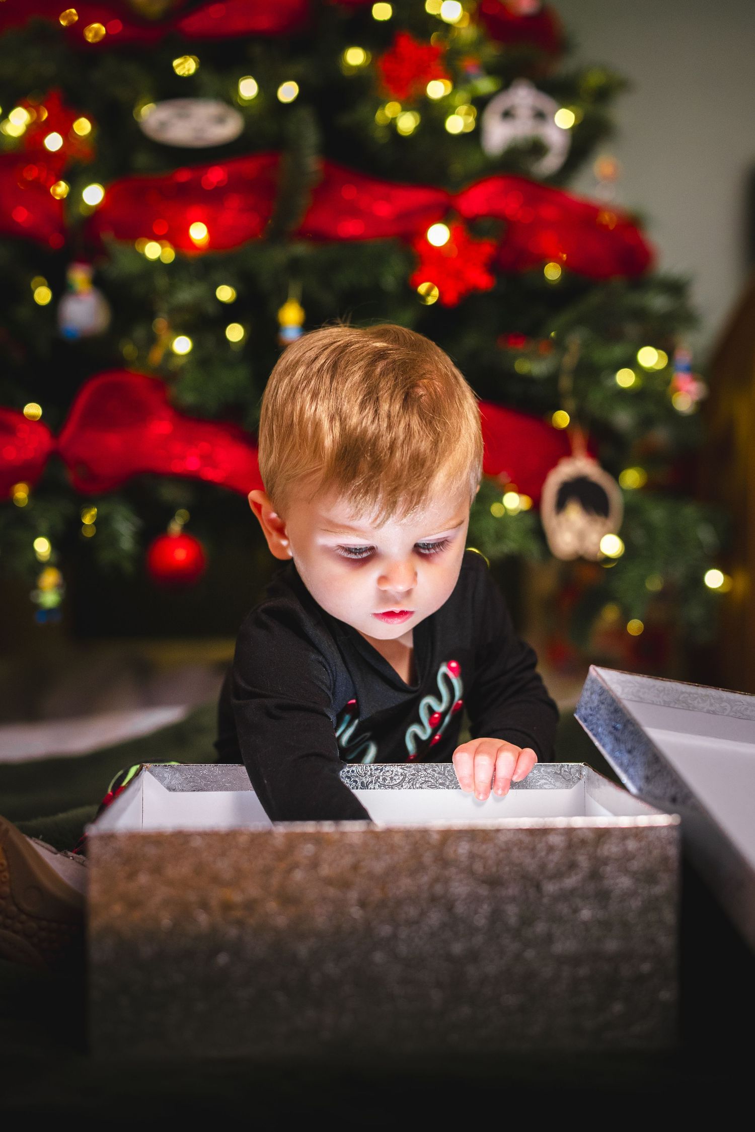 Child intently looking down at something while Christmas tree lights glow in background.