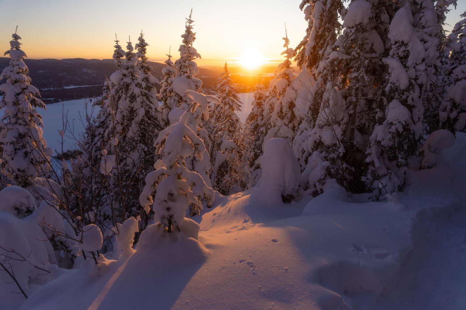 Winter sunset casts long shadows across pristine snow-covered forest landscape.
