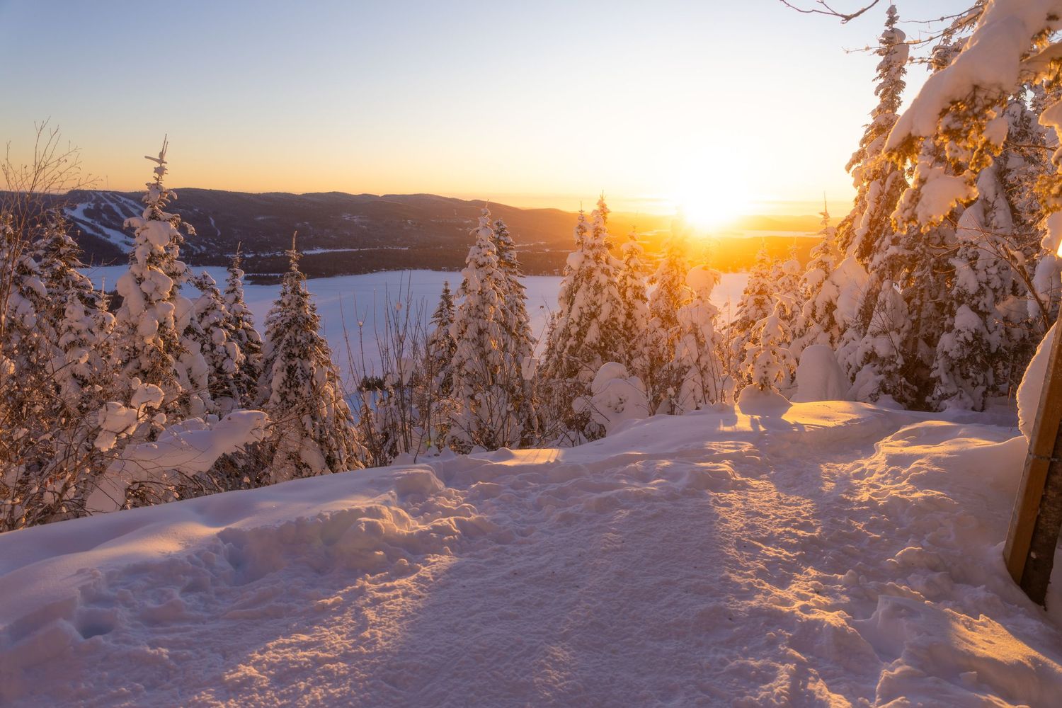 Winter landscape with snow-covered trees and golden sunset light.