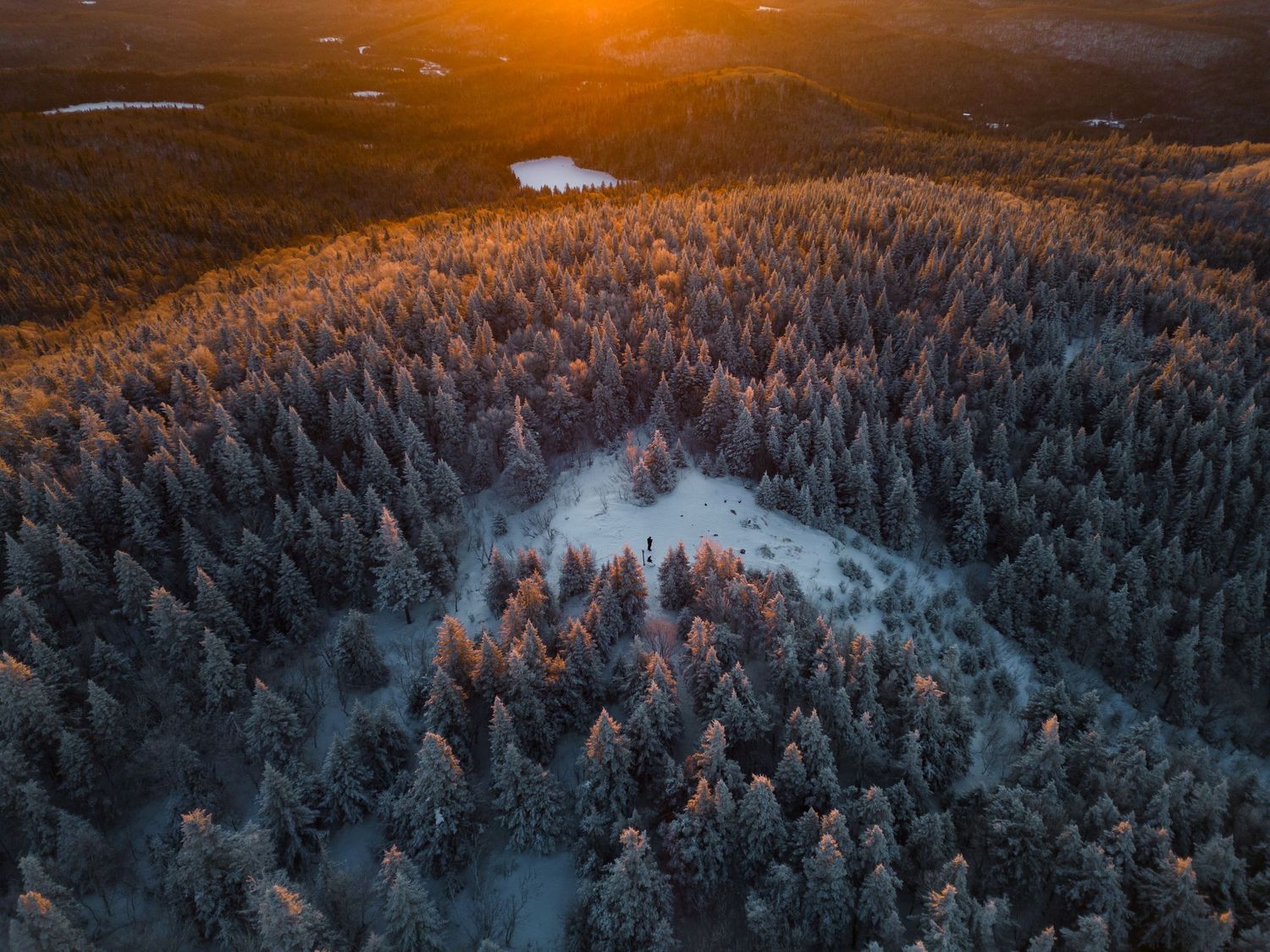 Aerial view of snow-covered forest with clearing during golden sunset hour.