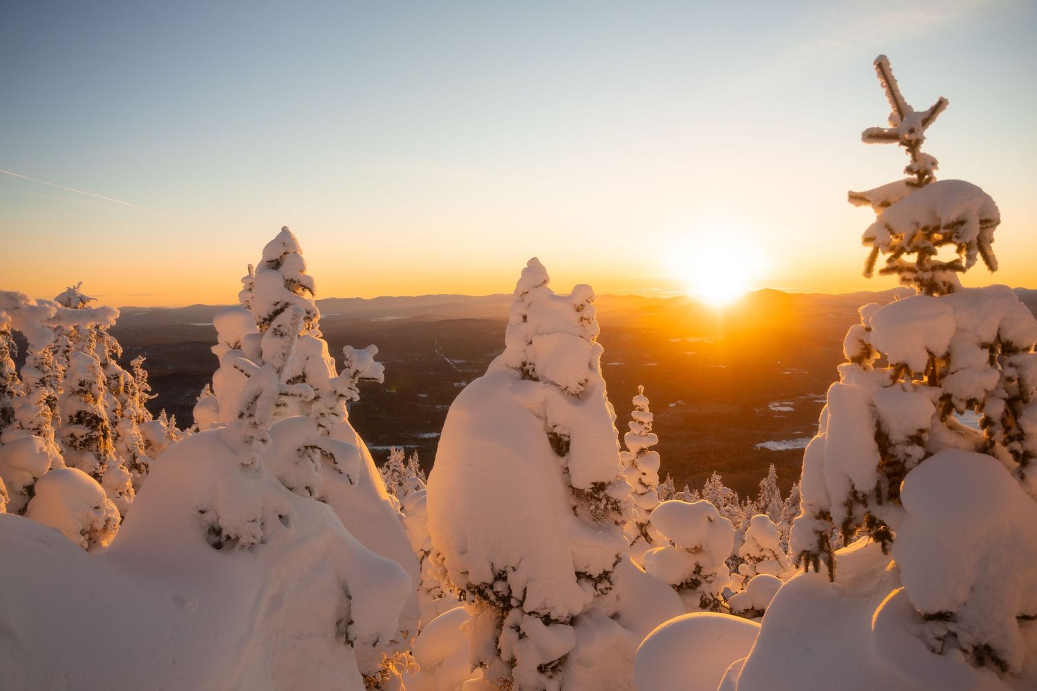 Winter sunset casting golden light across snow-covered trees in mountain terrain.