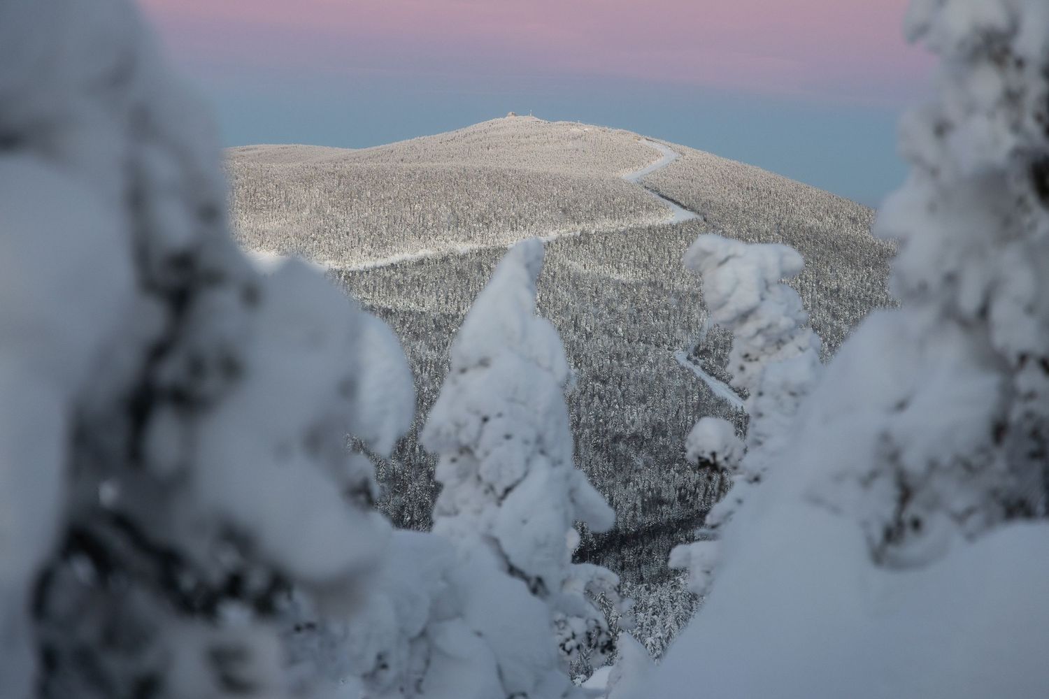 Snowy mountain peaks and forest stretching into the distance under a pastel winter sky.