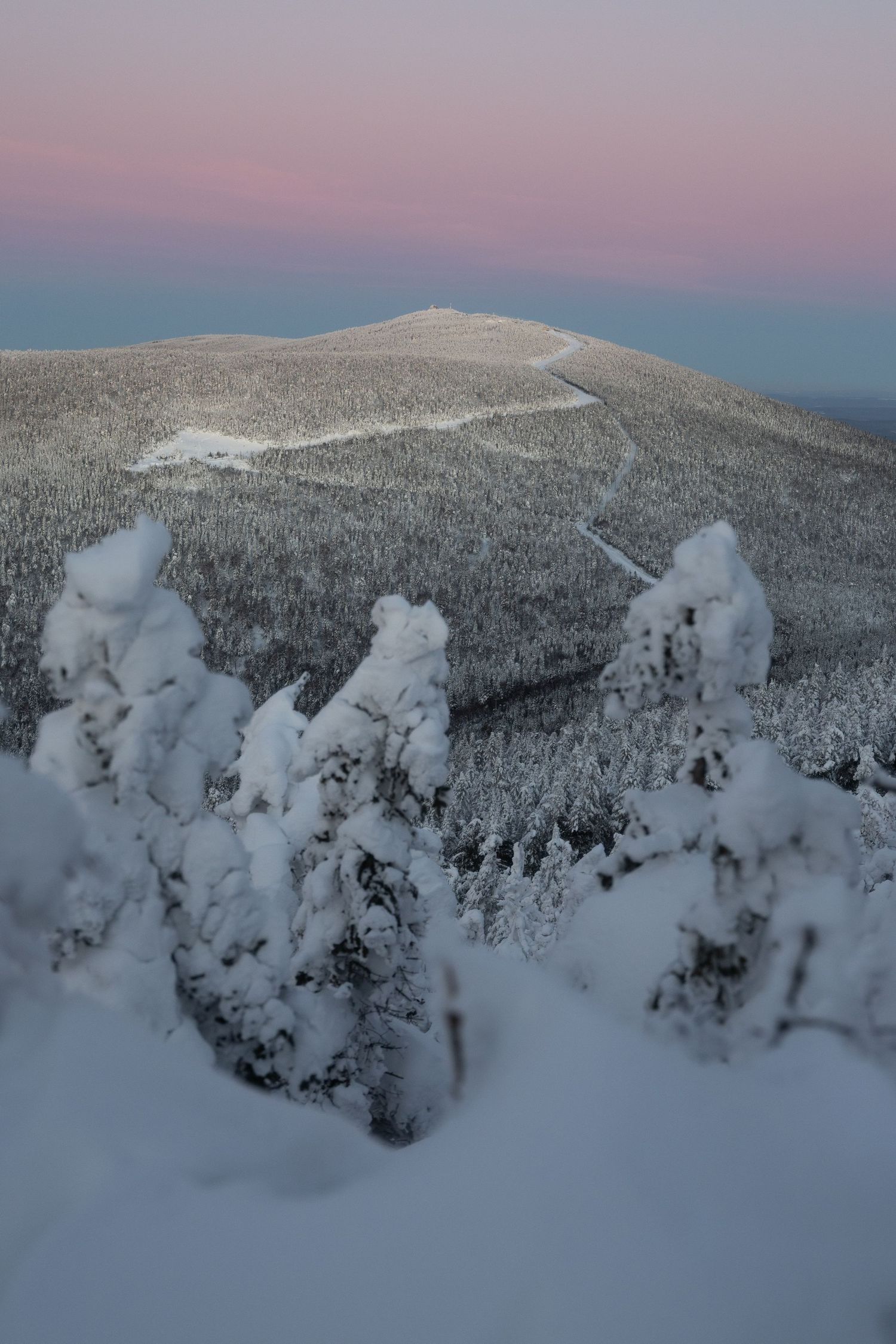 Snow-covered mountain slopes at dusk with heavily frosted trees in the foreground.