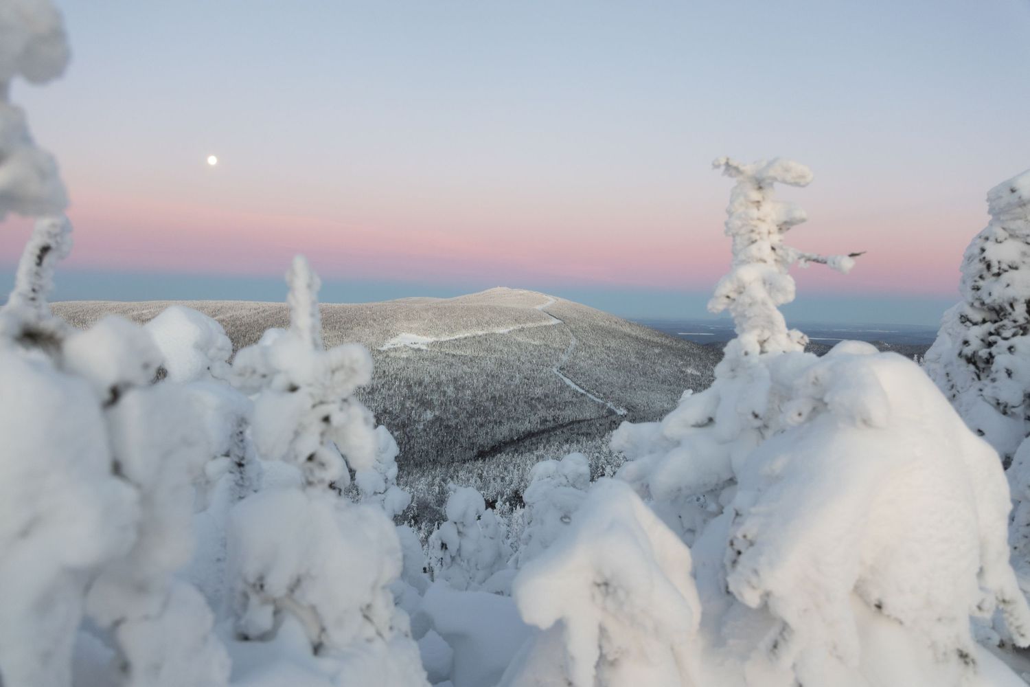 Panoramic winter mountain vista with snow-covered trees and pastel evening sky.