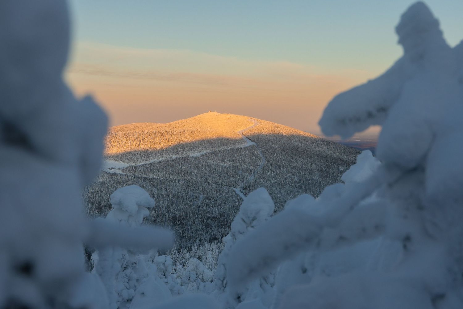 Snow-laden evergreen trees against a pastel winter sky at sunset in mountainous terrain.