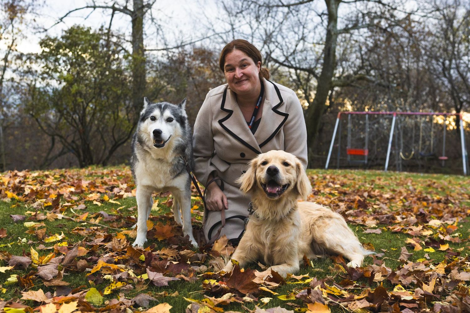 Two dogs enjoying autumn weather with their companion in a leaf-covered yard.