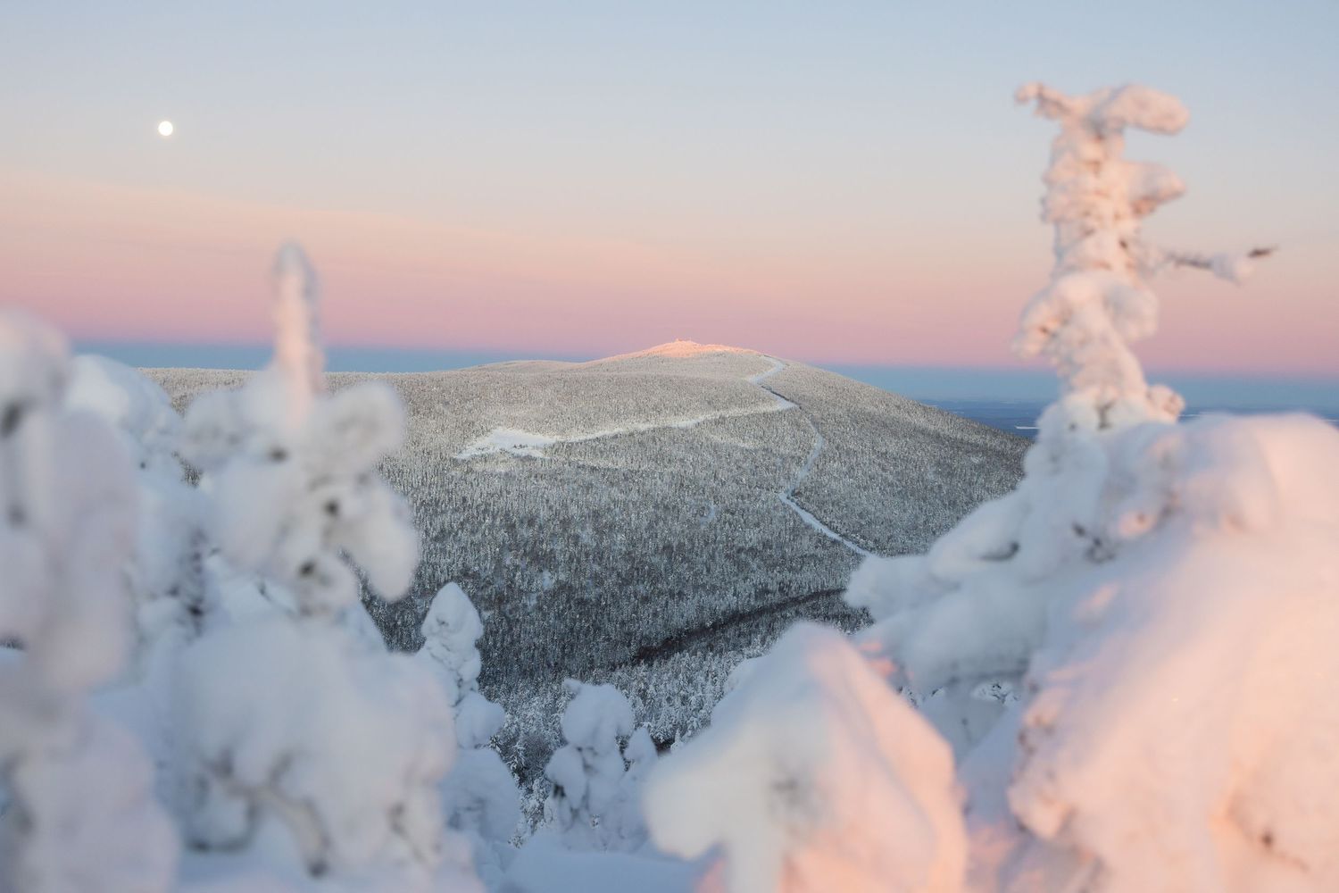 Pink and purple winter twilight sky over snow-covered mountain peaks and frosted trees.