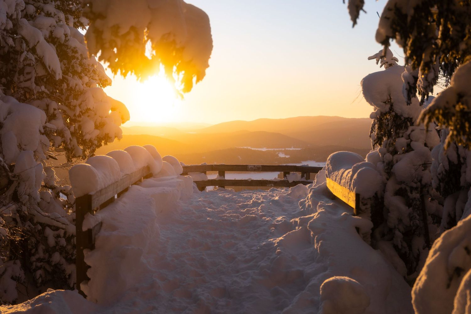 Snow-covered evergreen trees frame a golden sunset over mountain peaks with deep powder snow in foreground.