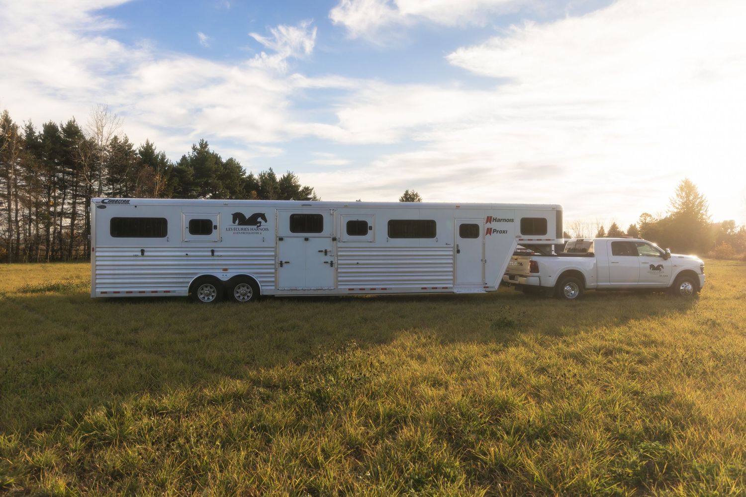 Line of white RV trailers parked in a sunny grass field.