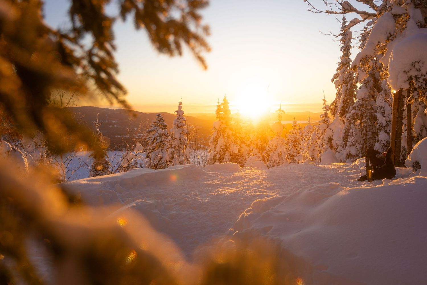Winter sunset bathes snow-covered forest in warm golden light with mountains in background.