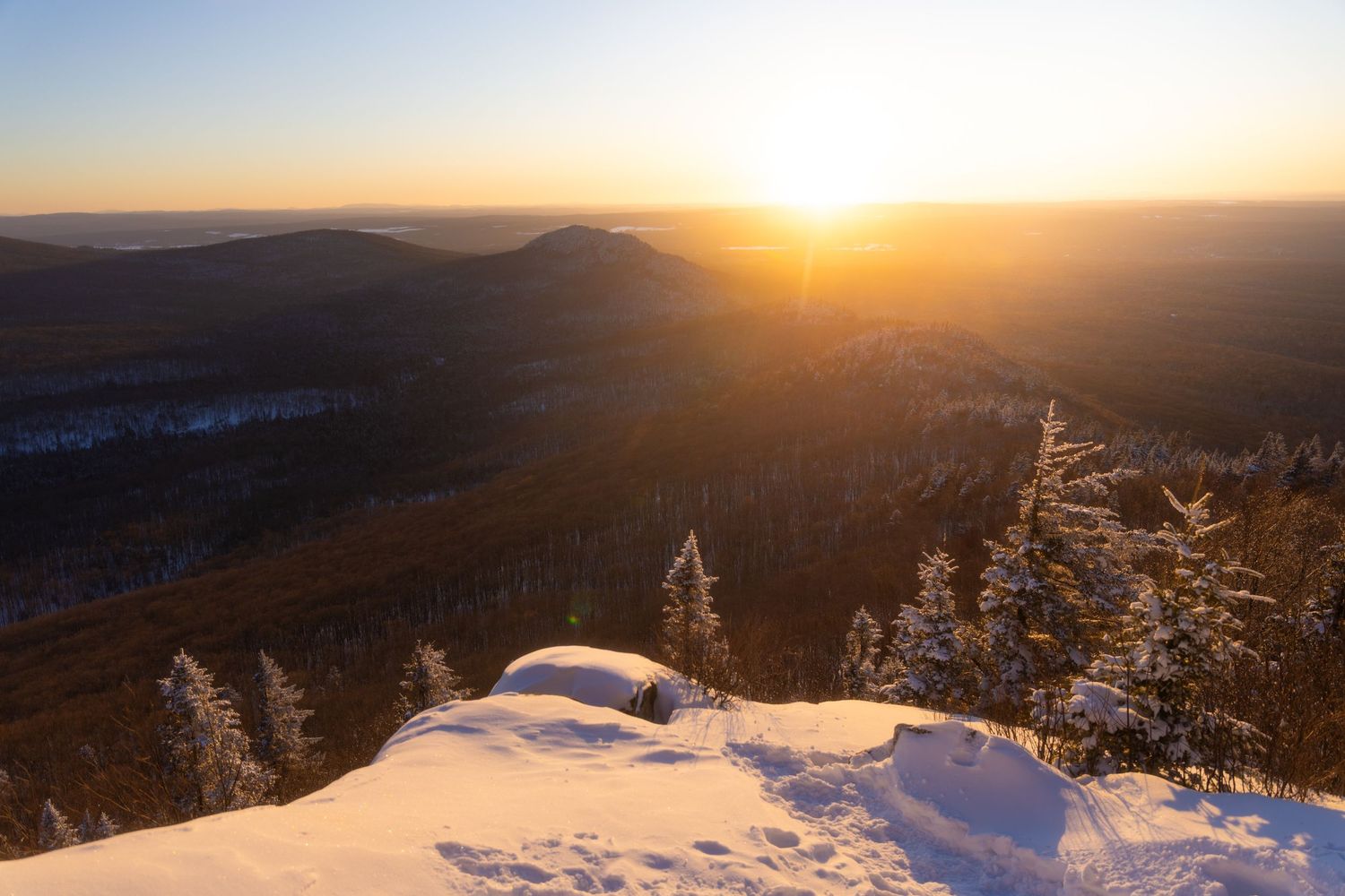 Panoramic winter landscape with snow-covered trees and mountains at golden sunset.