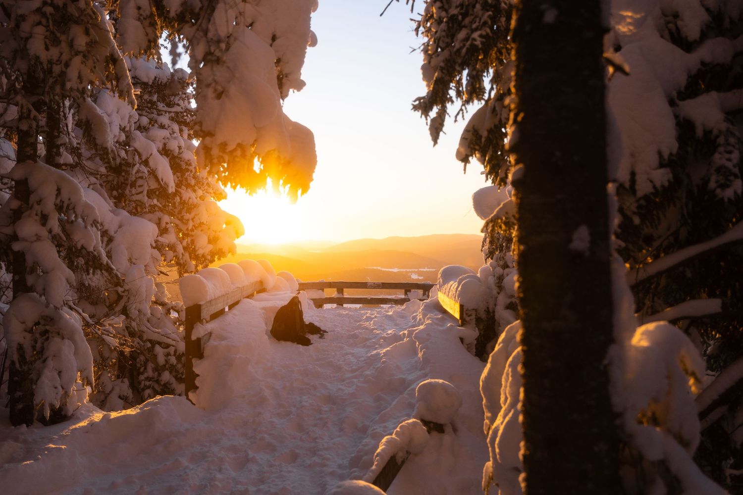 Snow-laden pine trees silhouetted against dramatic winter sunset.